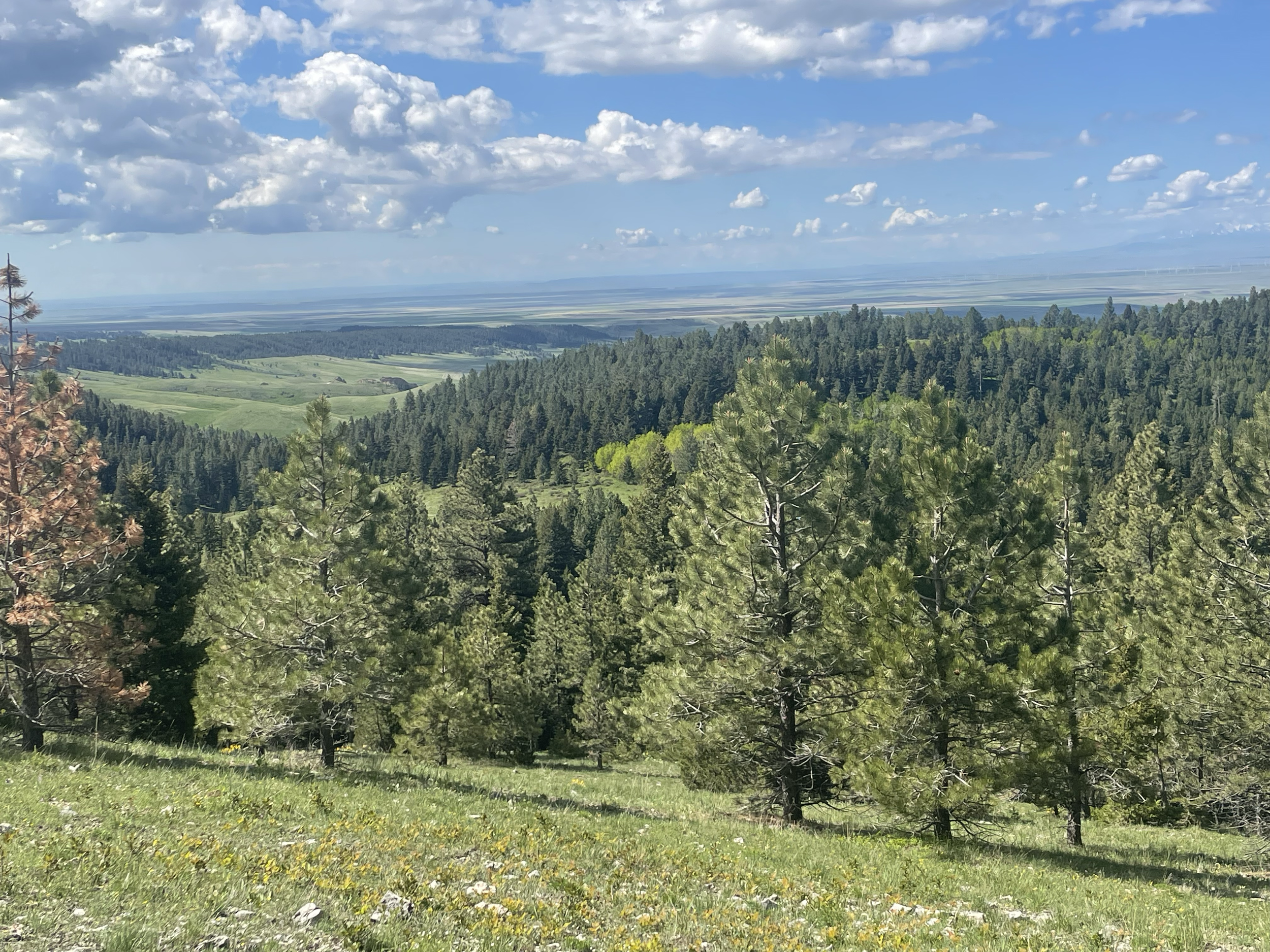 Nestled deep in the Snowy Mountains, this special place is alive with abundant wildlife, gentle breezes, and panoramic views that stretch forever.