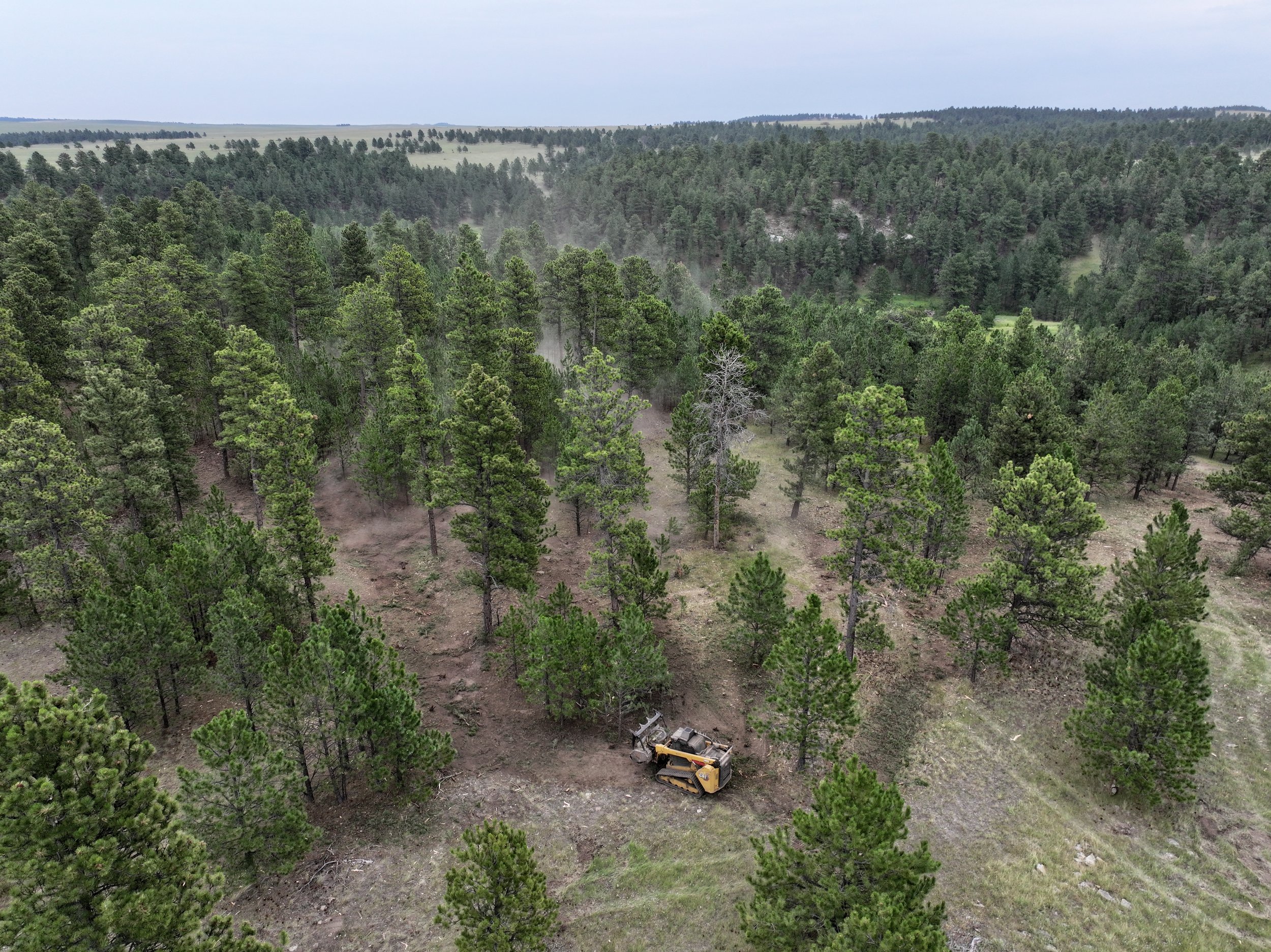 dji_fly_20260730_080434_0016_1785424945530_photo.jpeg