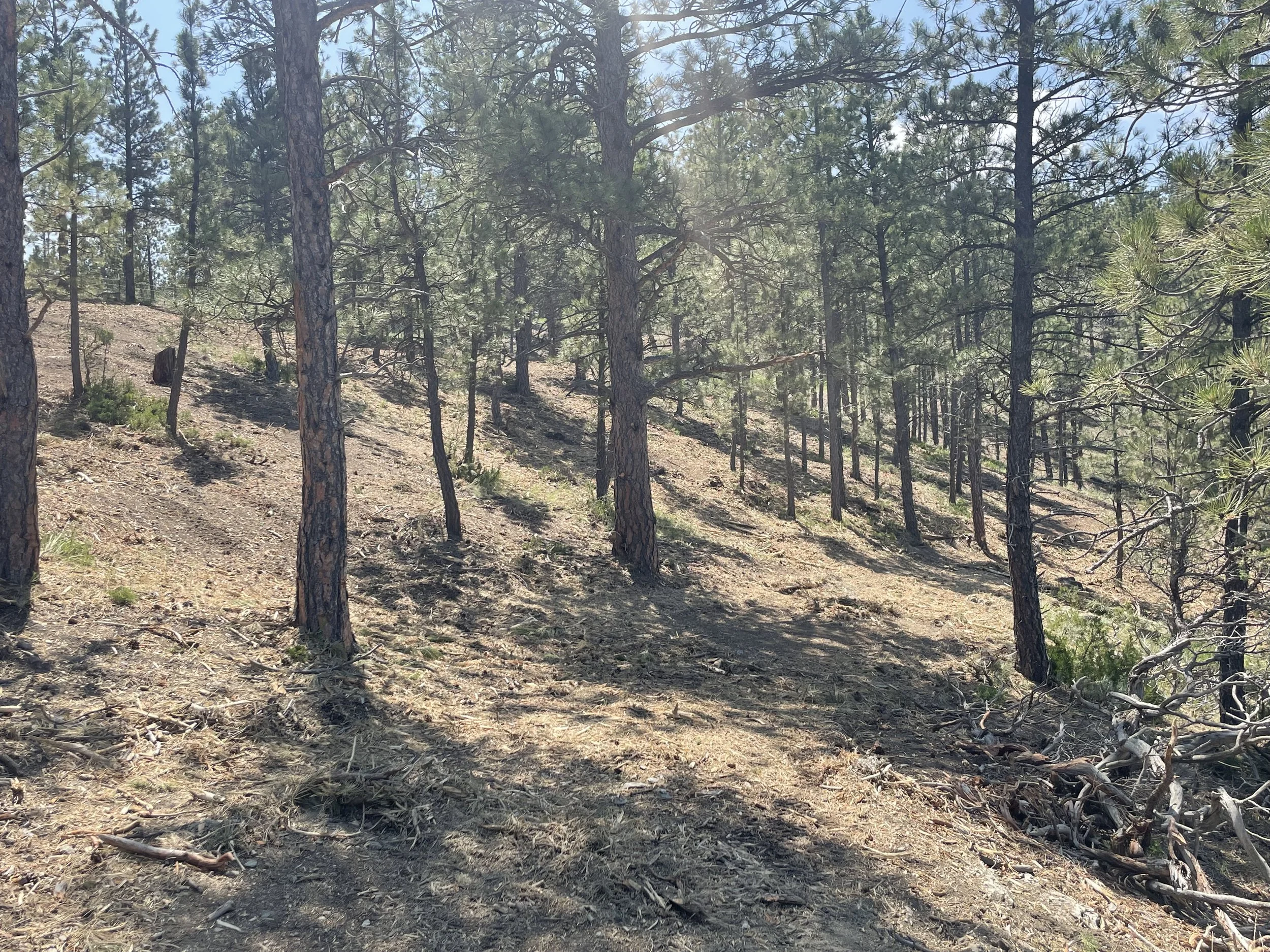 Retirement Paradise, Montana 2025