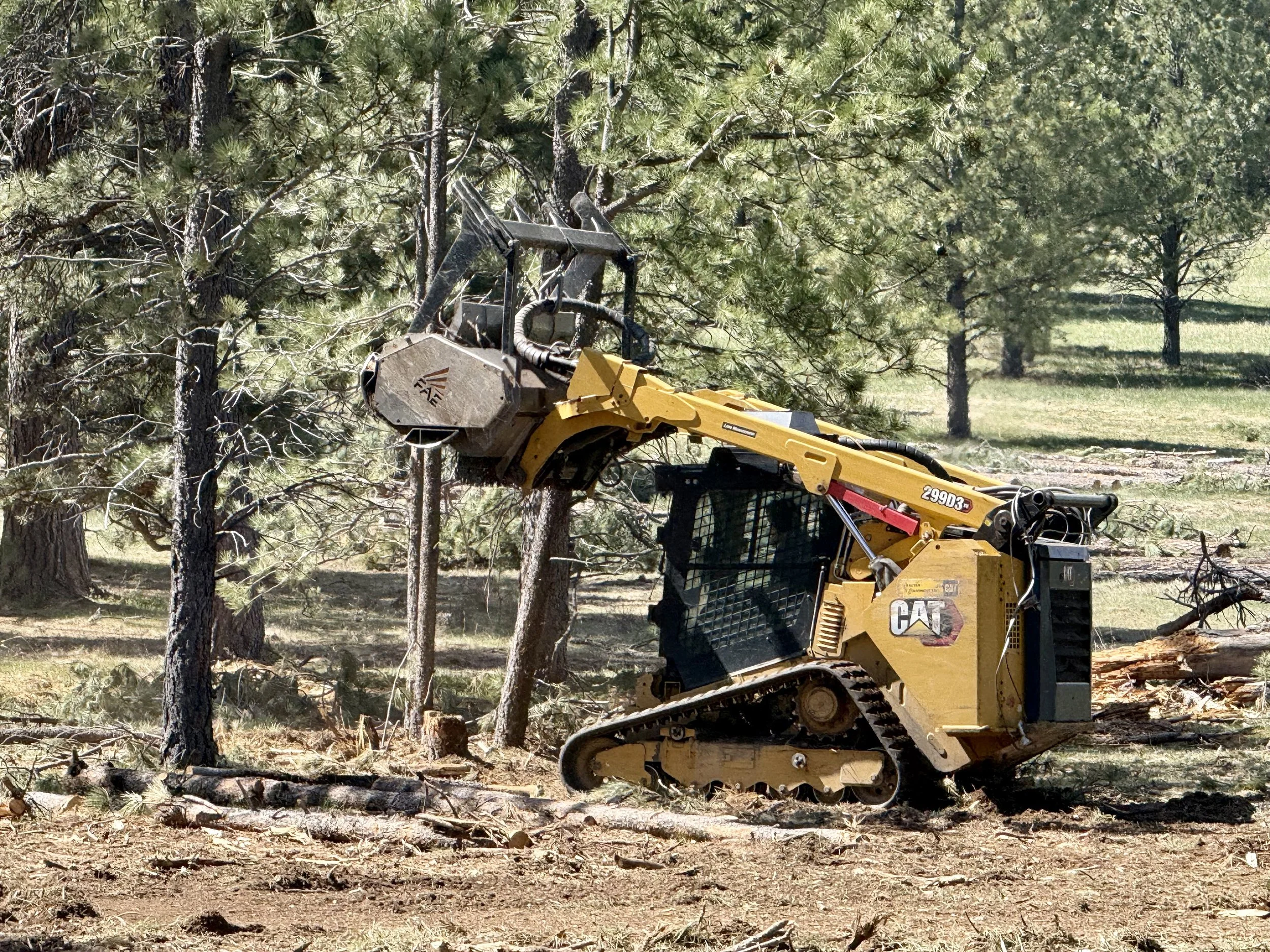 Finally, mastication can begin on any limbs, and smaller diameter trees.