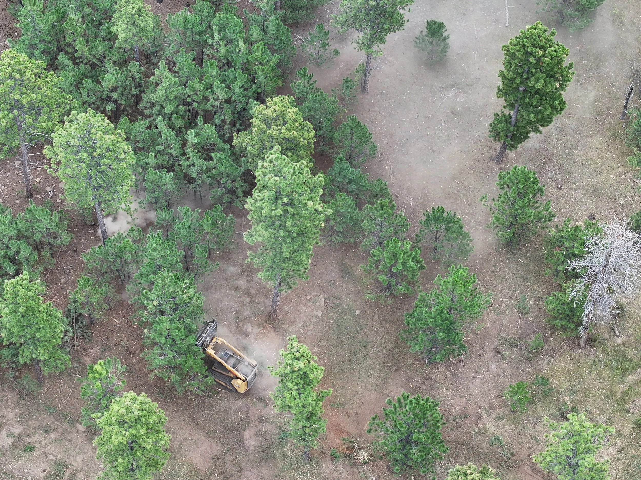 dji_fly_20260730_081322_0029_1785424918970_photo.jpeg