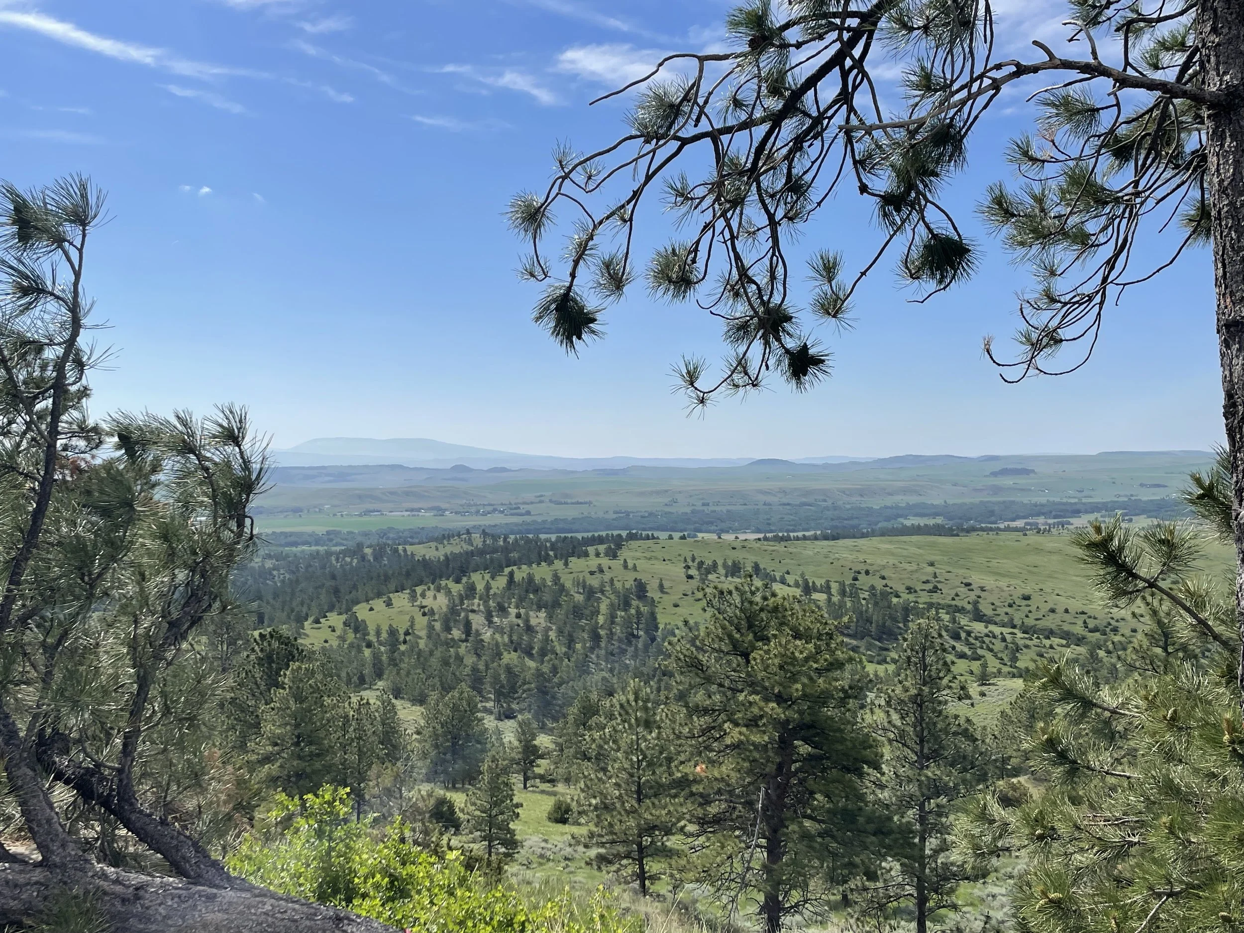 Off Grid, Montana 2025