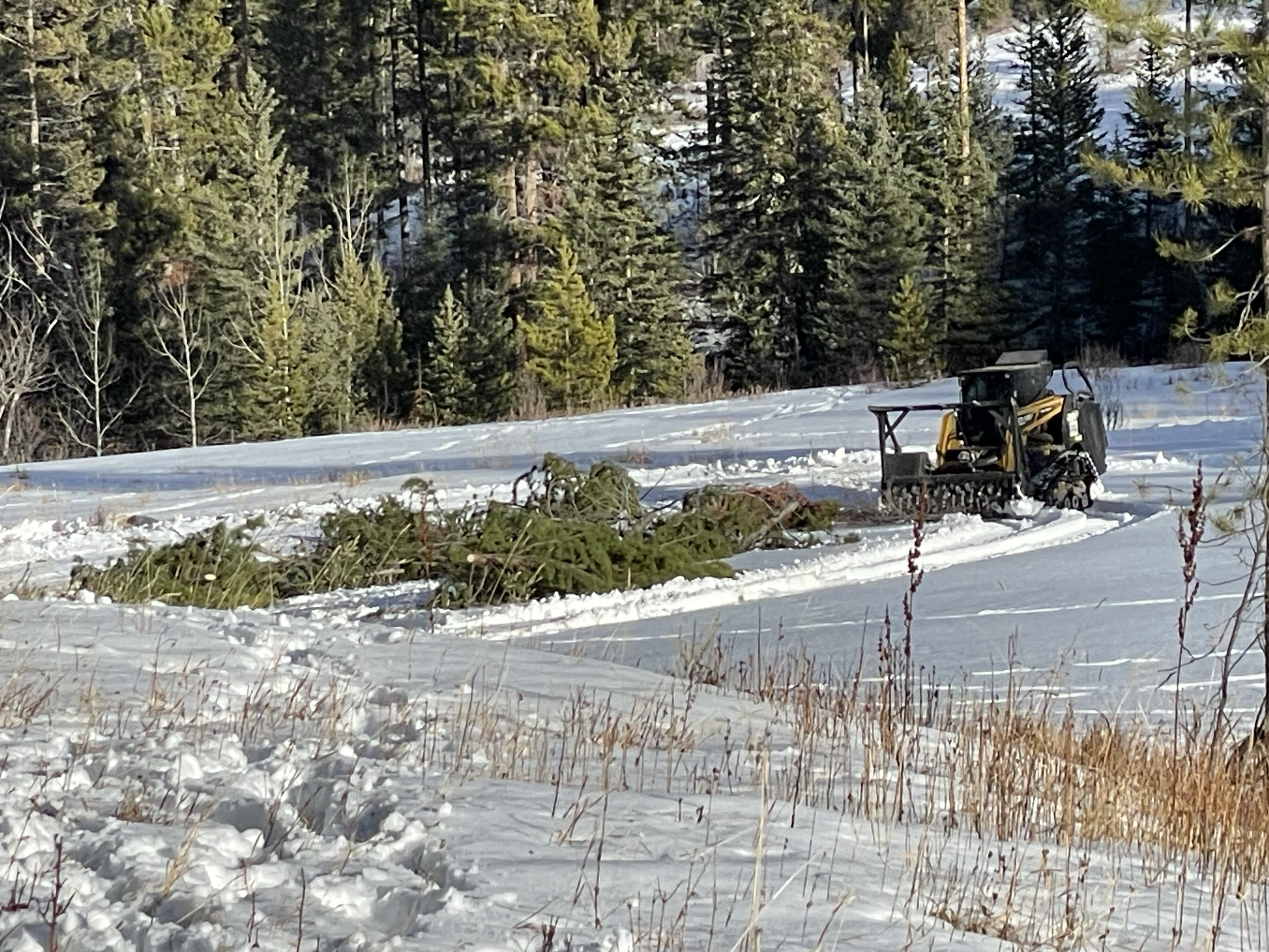 Mastication is a quick way to eat up unwanted timber. For this project, we cleared the land using handwork and piled up the timber in the meadow to be masticated into mulch.