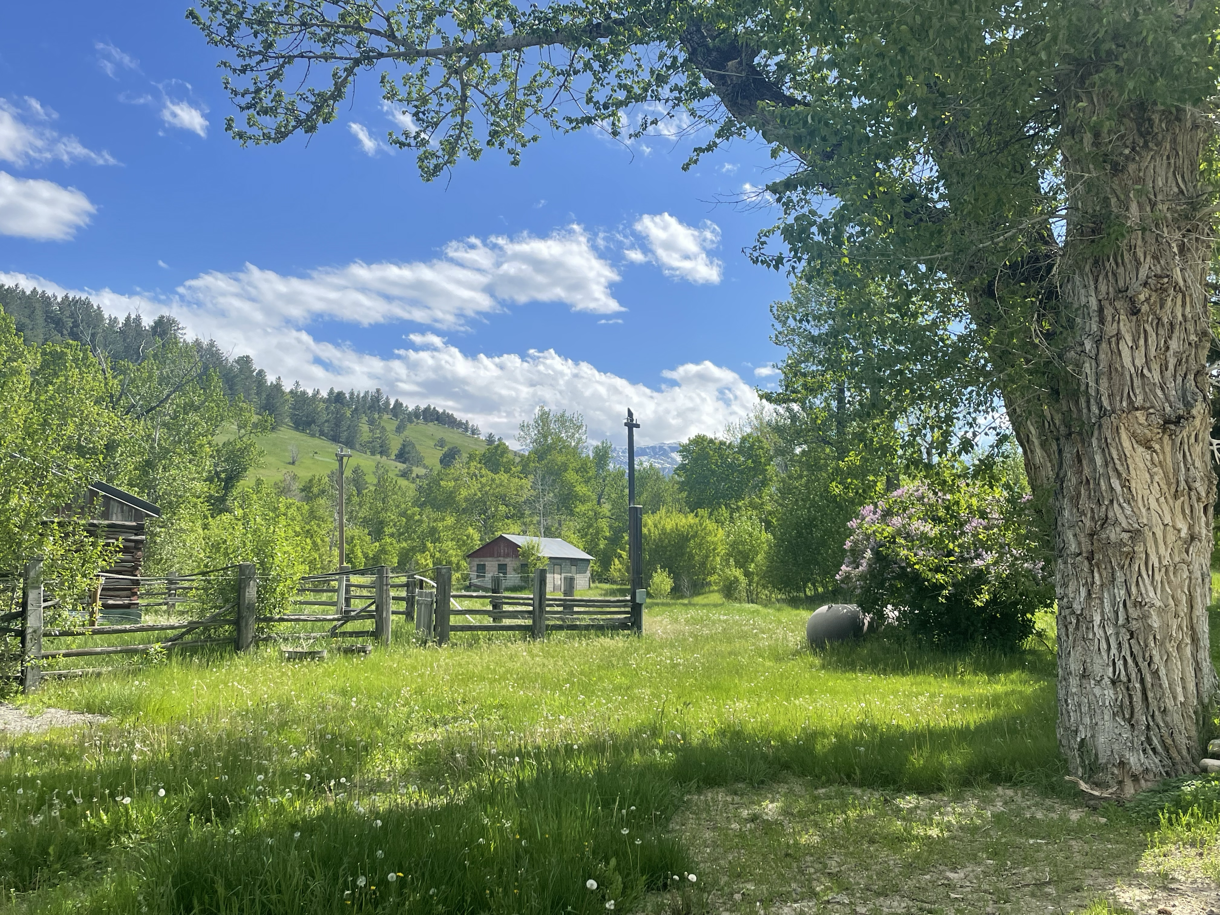 This little homestead was one of the most idyllic places we've worked. Simple, peaceful, connected to nature.