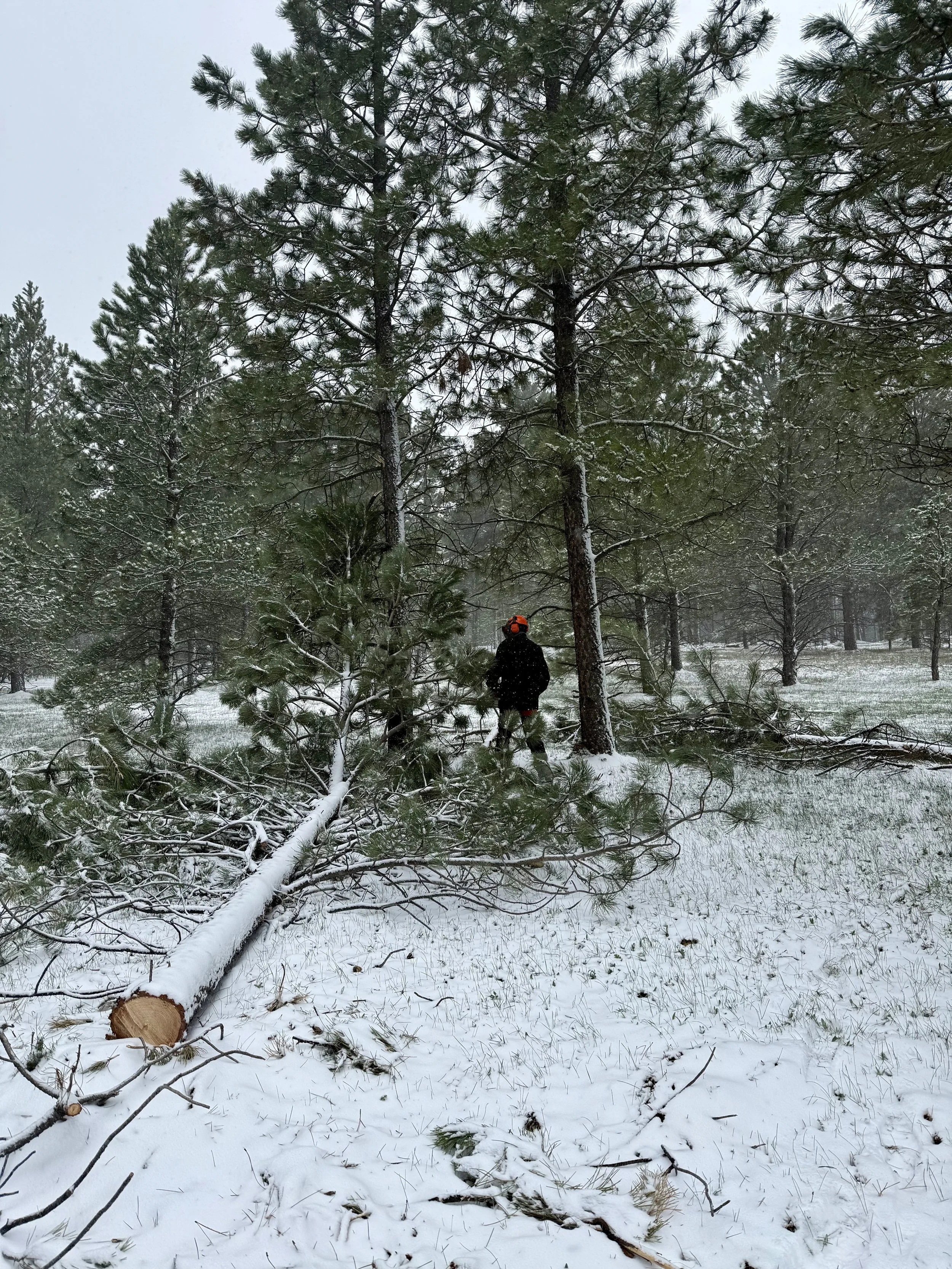 This project began in a snowstorm. It may not be much fun operating in these conditions, but it sure is beautiful covered in snow.