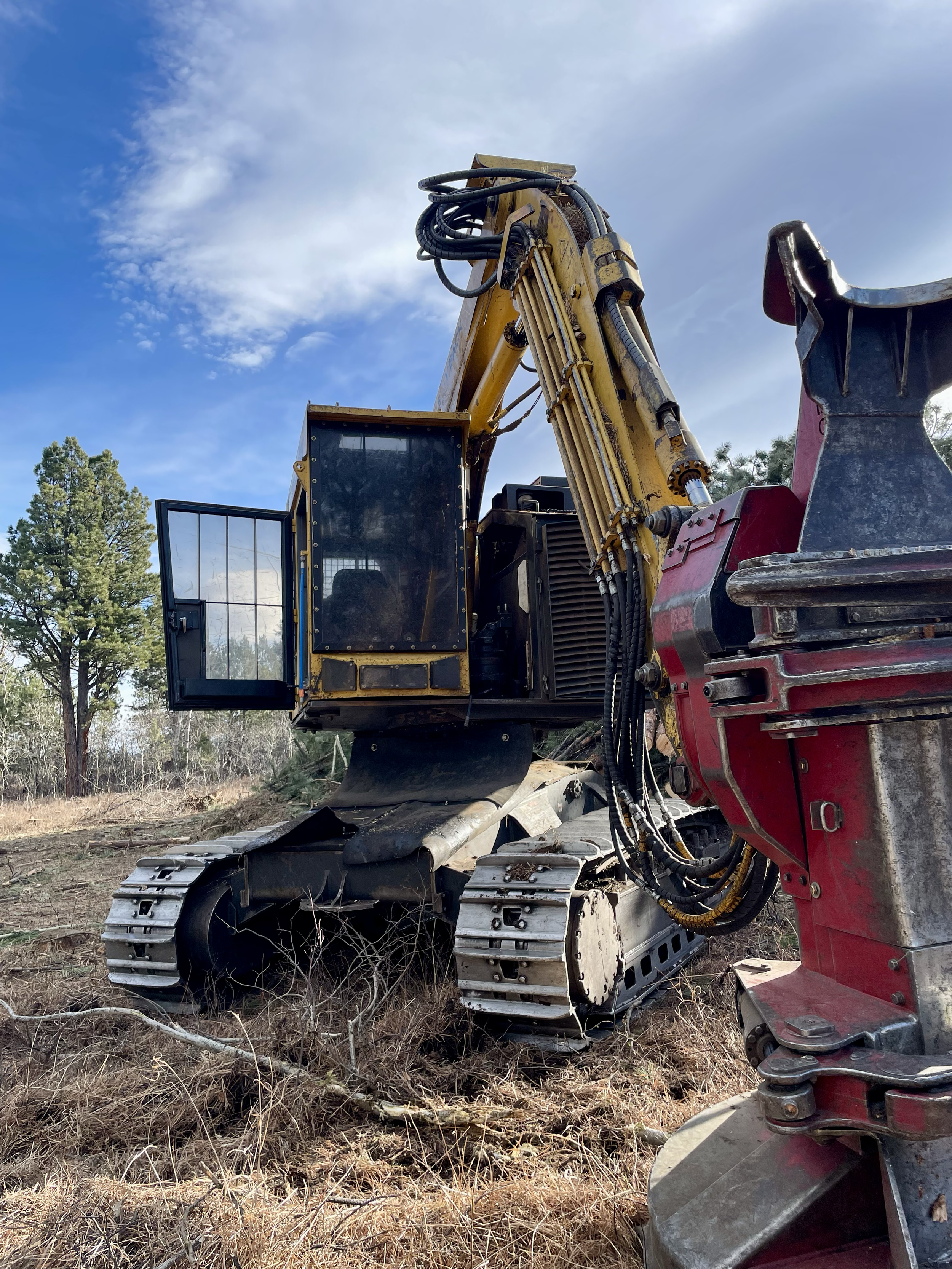 We had the pleasure of working with one of Jeff's sons on this project. All three men are fantastic equipment operators. 