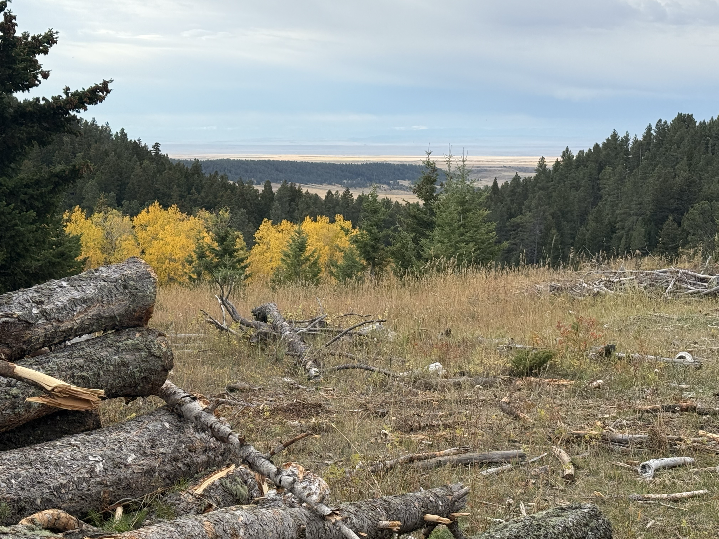 This project spanned seasons, and there was truly no better place to be in the fall than the Snowy mountains.