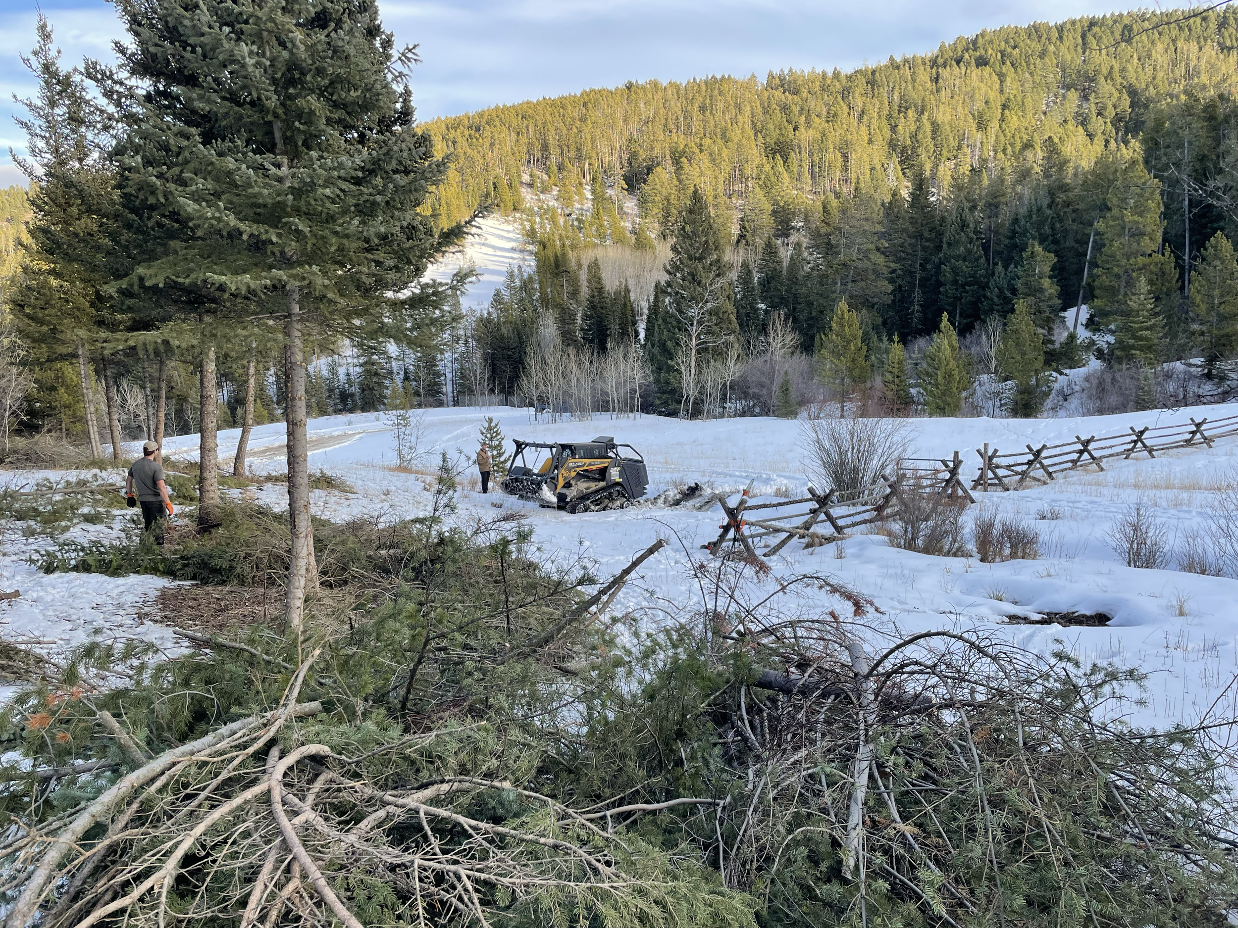 Our Skid steer with masticating head makes quick work of the downed trees.