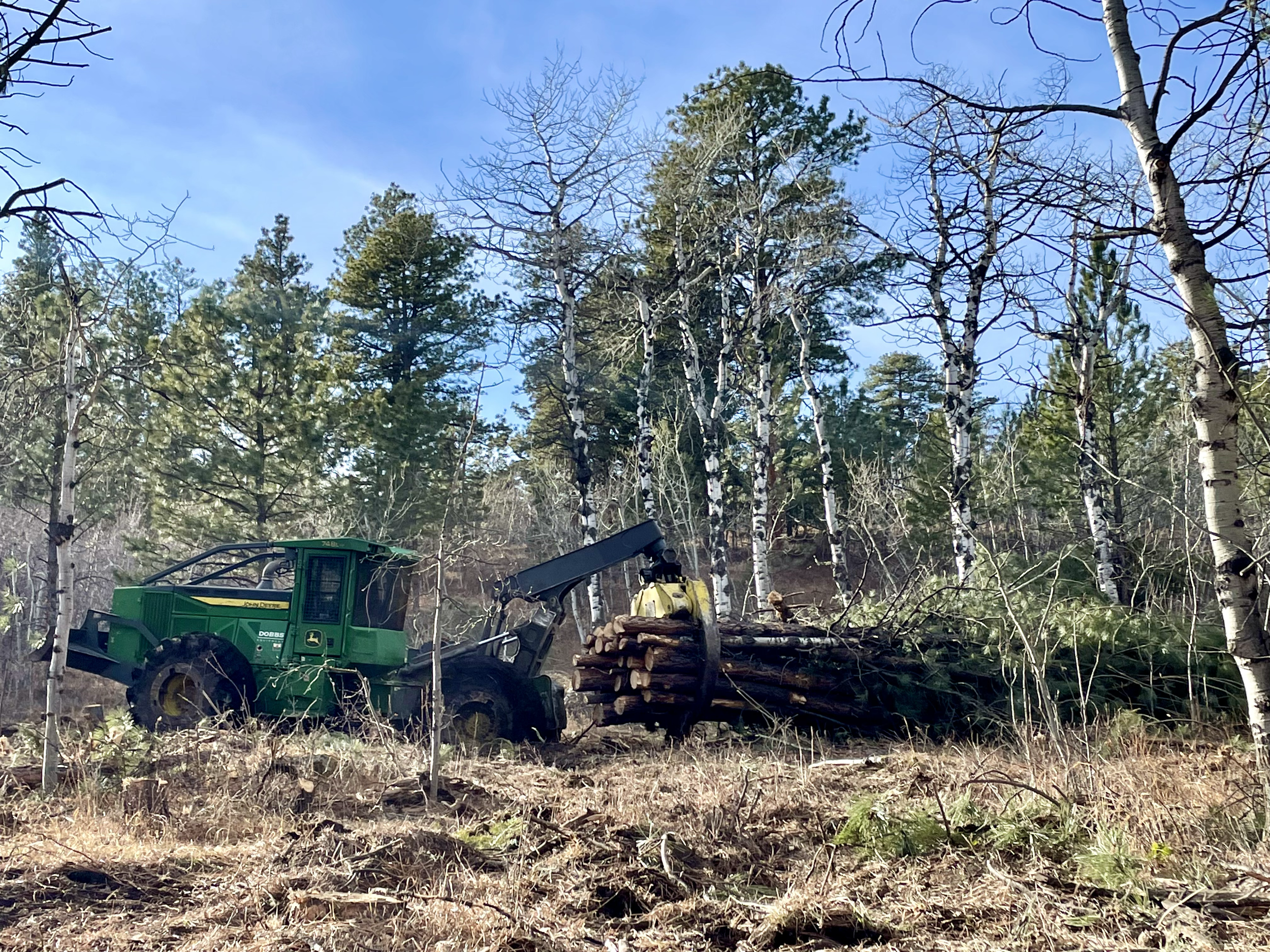 Skidder hard at work.