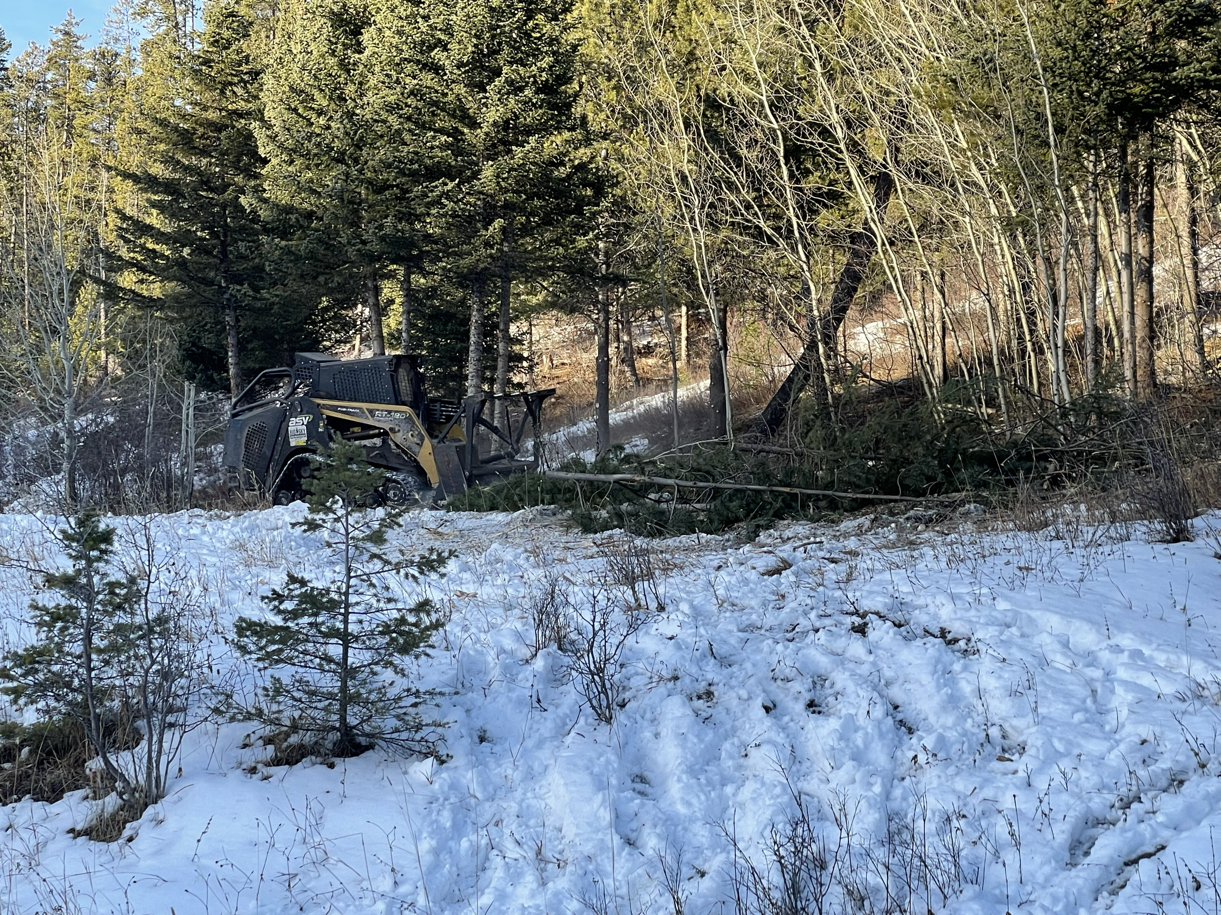 When possible, we use the skid steer and masticating head to remove trees in place. Here the equipment is on the hill above the house clearing timber away from the house.