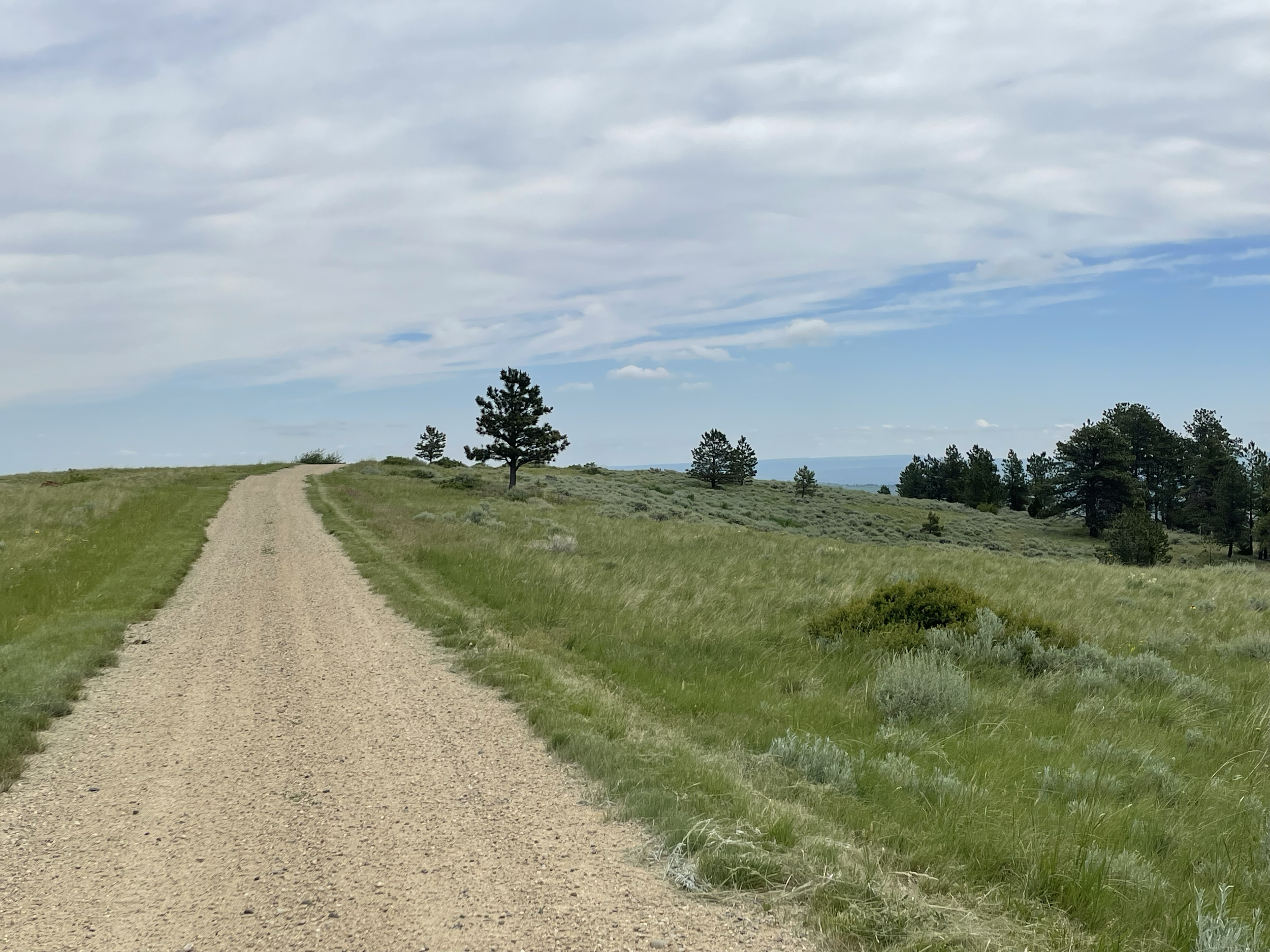 And this is the "after" photo. We aim to please our customers, and were thrilled to have made our customer's day with this particular transformation.