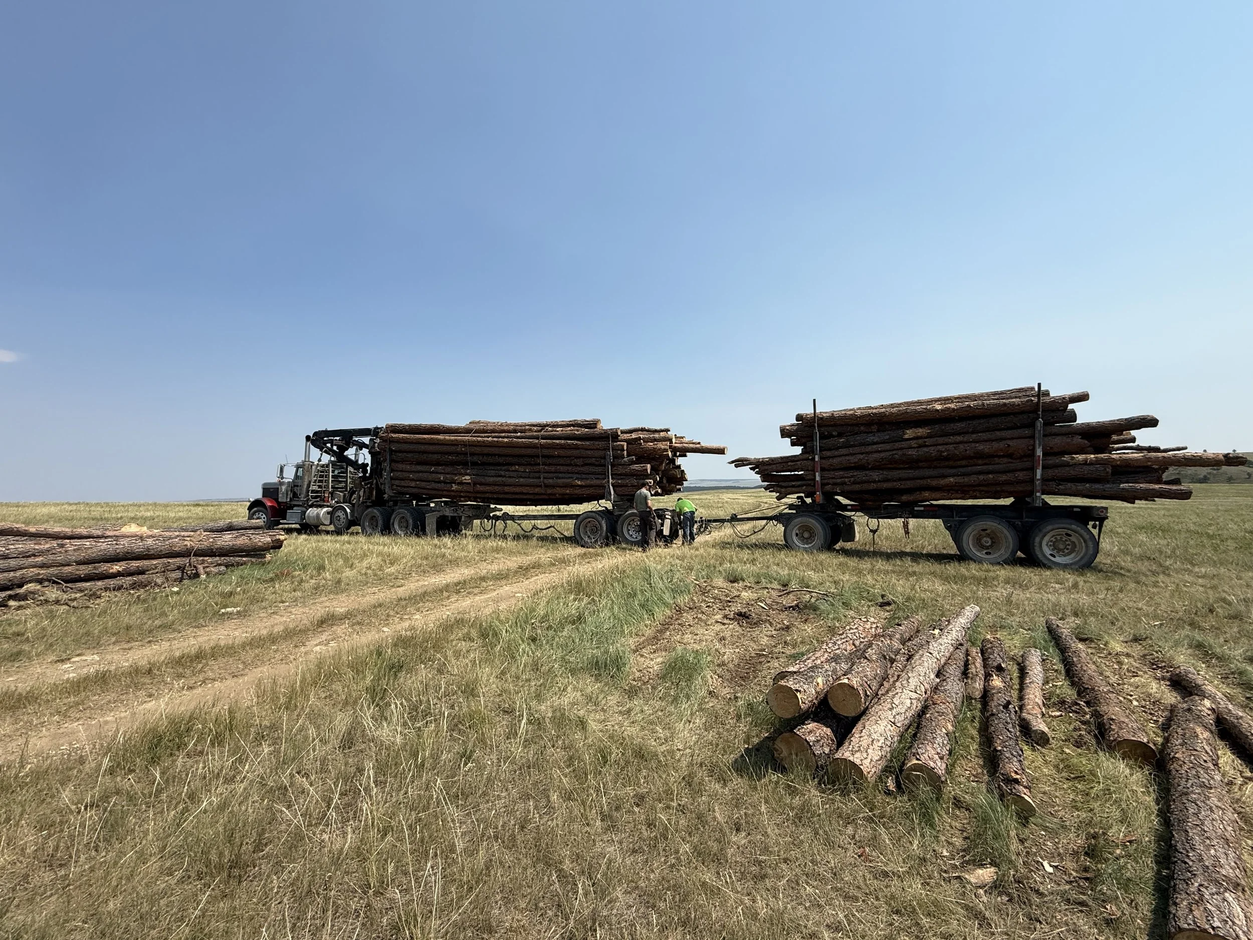 Self-loading log truck hauling a load of timber off the project site. Multiple loads were carried away as we opened up a meadow for more grass land.