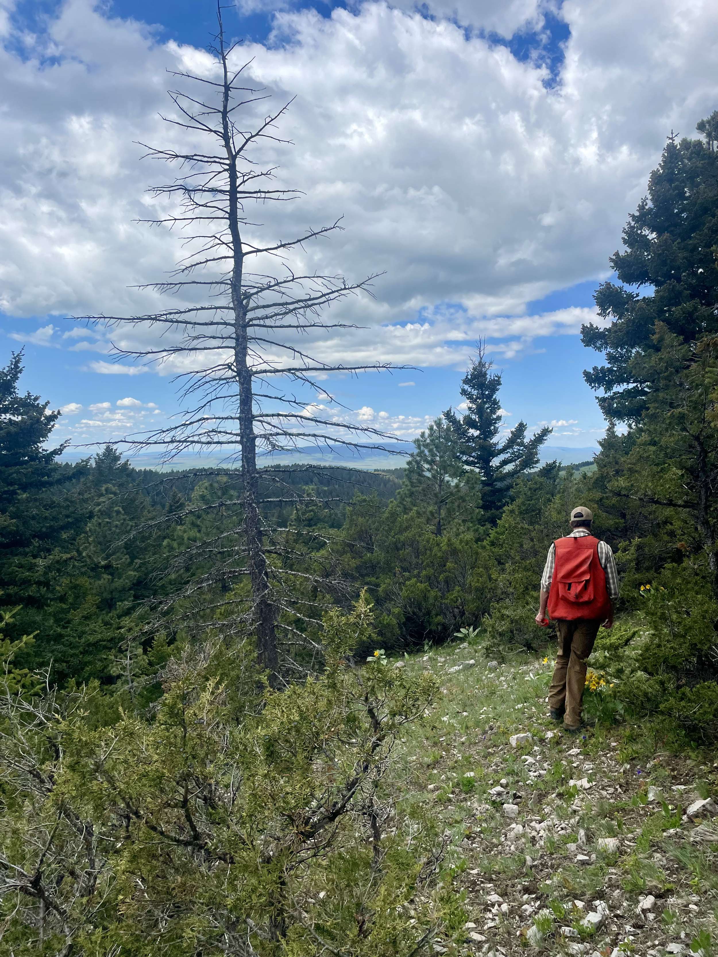 Much of our work involves identifying and shaping the client’s dream into a practical plan. In this project, we didn’t just clear the land—we designed thoughtful road layouts that lead to elevated landings offering stunning views, setting the stage f