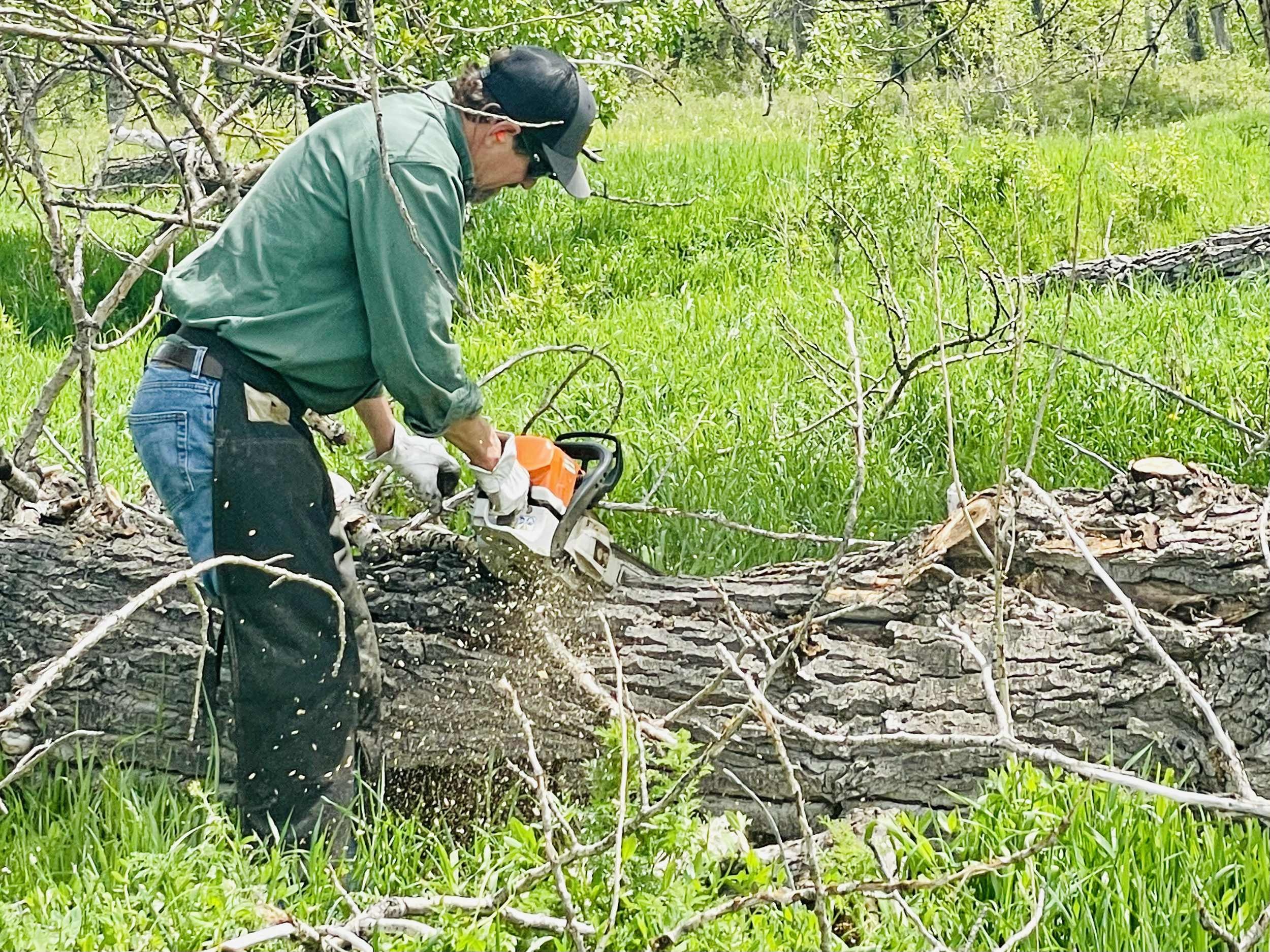 Not every job needs heavy machinery; many require a refined, hands-on touch. Jeff and the team excel at this delicate work, bringing their skilled hands to create the best outcomes for the land and our clients.
