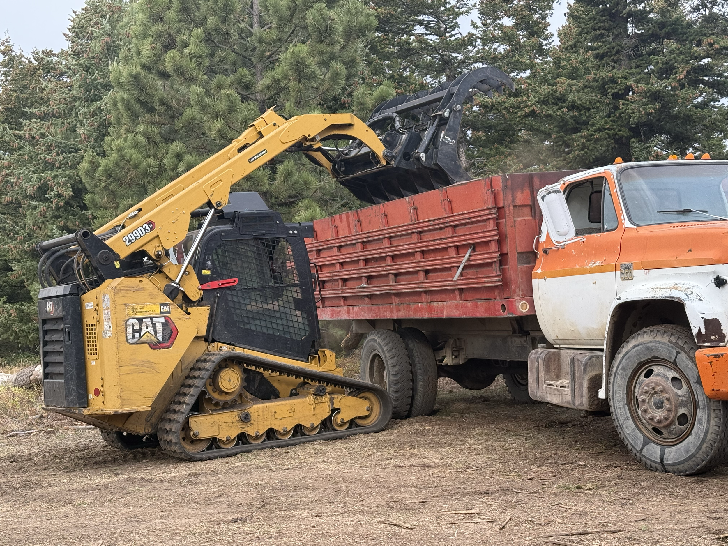Our client was not interested in keeping the wood from the project, but he found a neighbor who was thrilled to get the lumber. Here Jeff is loading up the truck to send it off. 