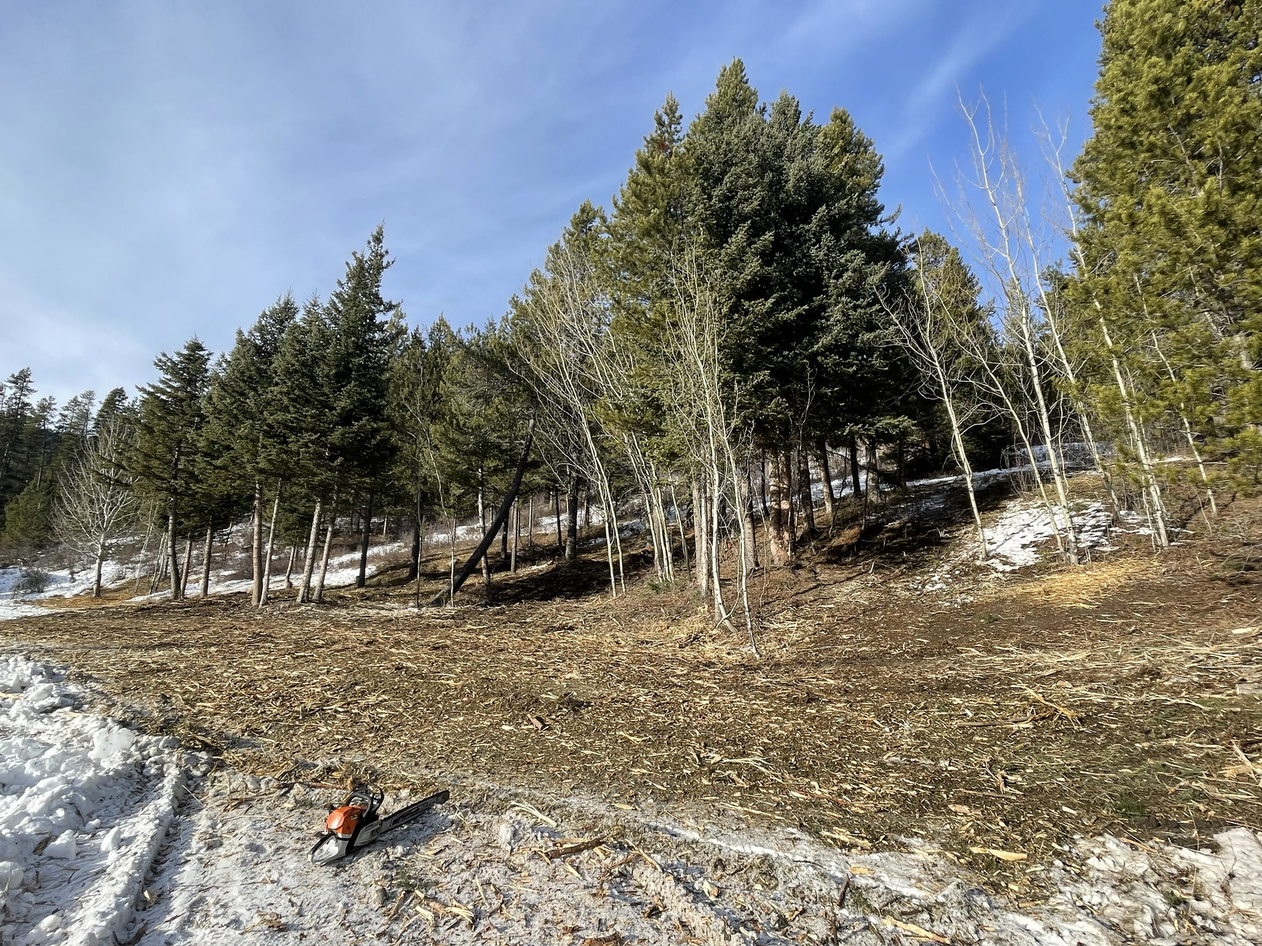 Once completed, not only did the client have a defensible space, but they also had the perfect country for wildlife to enjoy.