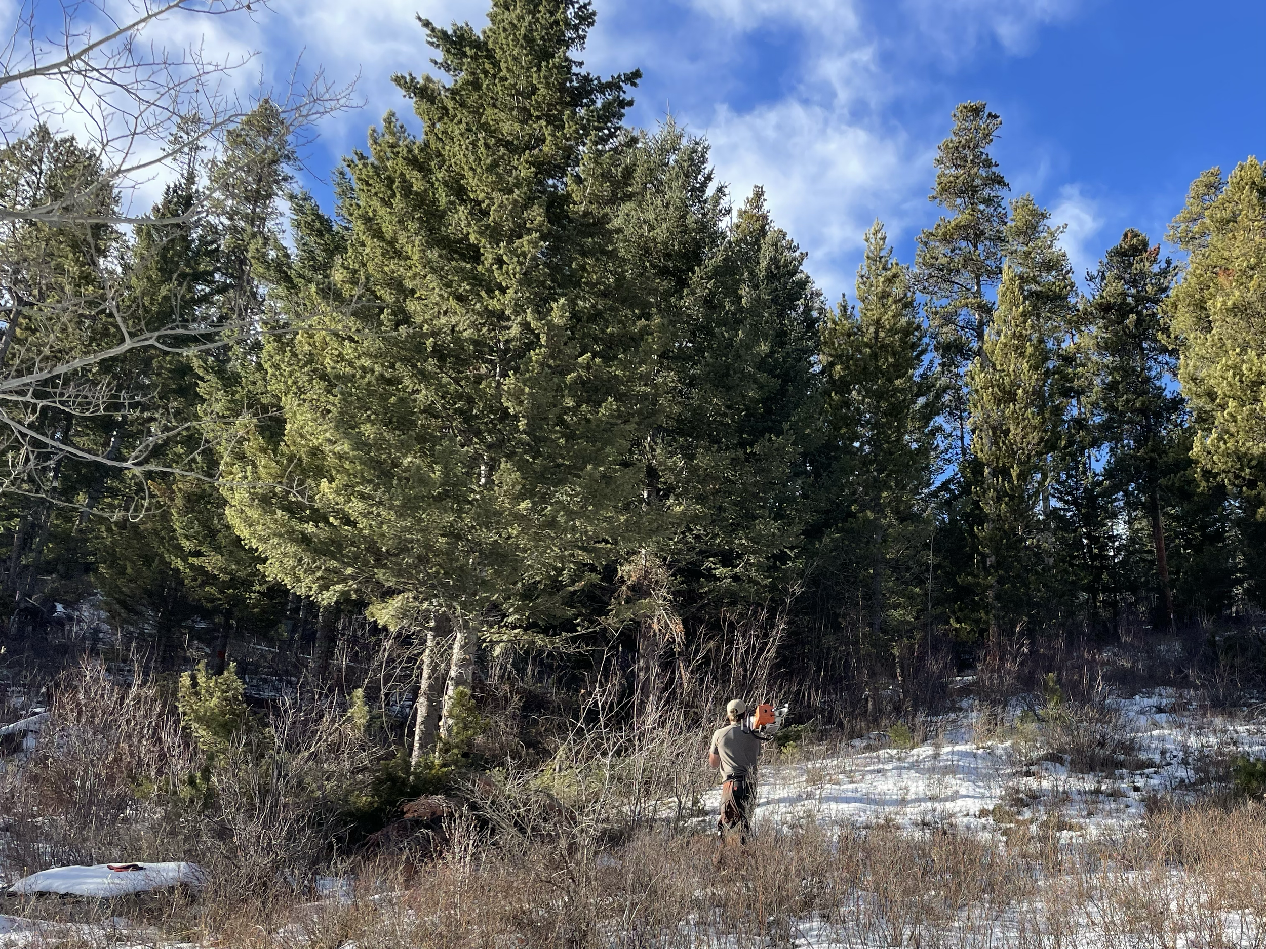 This job was all about the details. Working in close proximity to the structures required a heavy amount of handwork from the guys. 