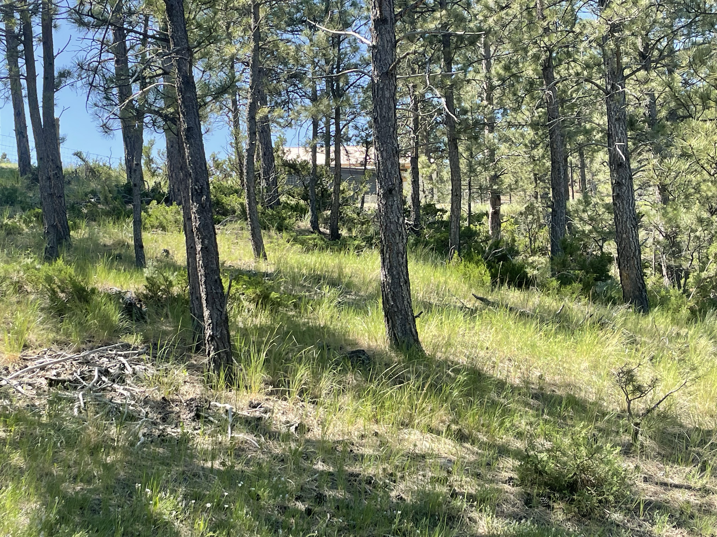 This property was a mix of flat meadow areas and steeper rocky terrain. Fun to explore and transform.