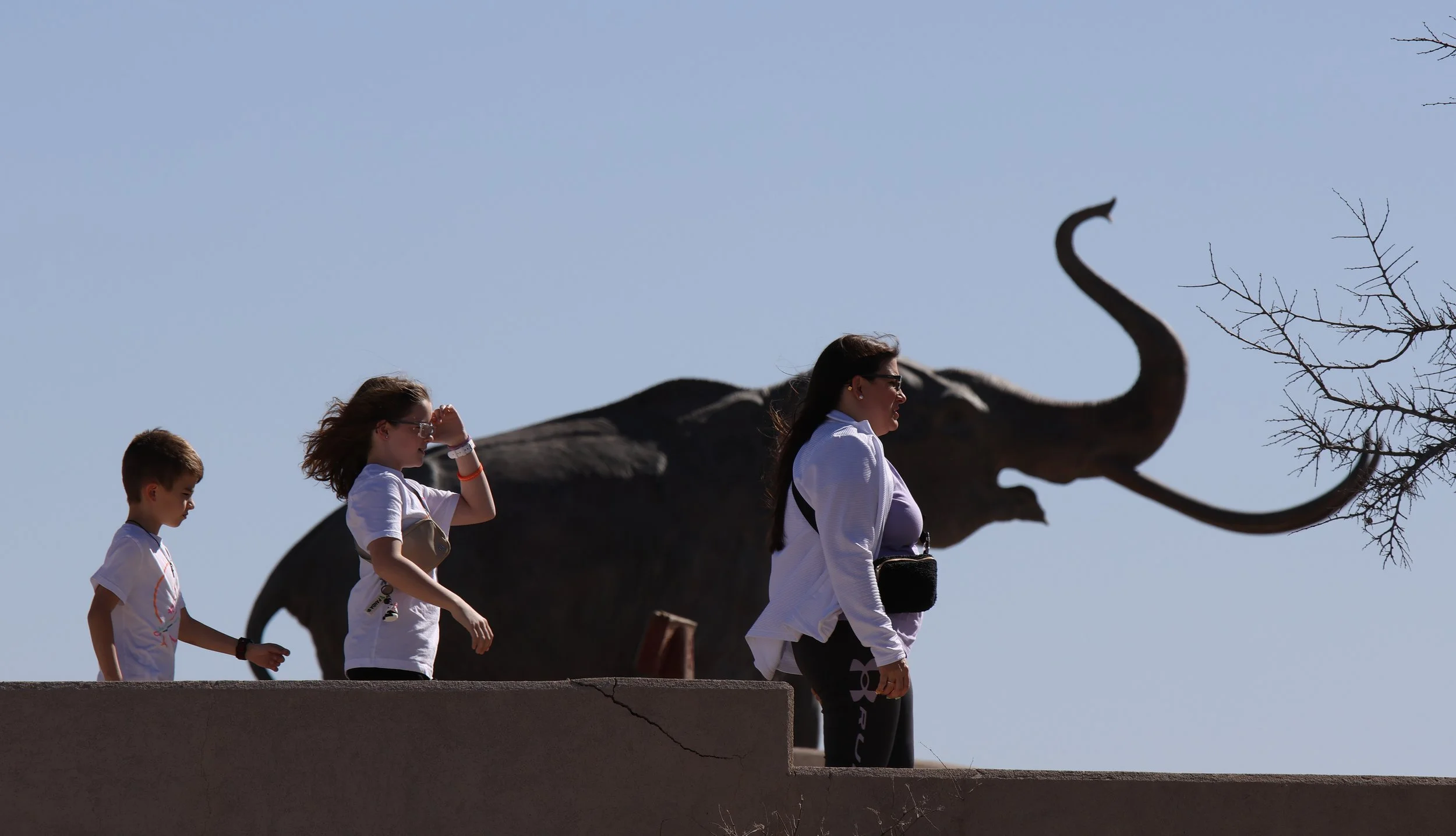 A family walks past a statue of a Columbian mammoth (Mammuthus columbi) at the Lake Lubbock National Landmark on March 18, 2025 in Lubbock, Texas.