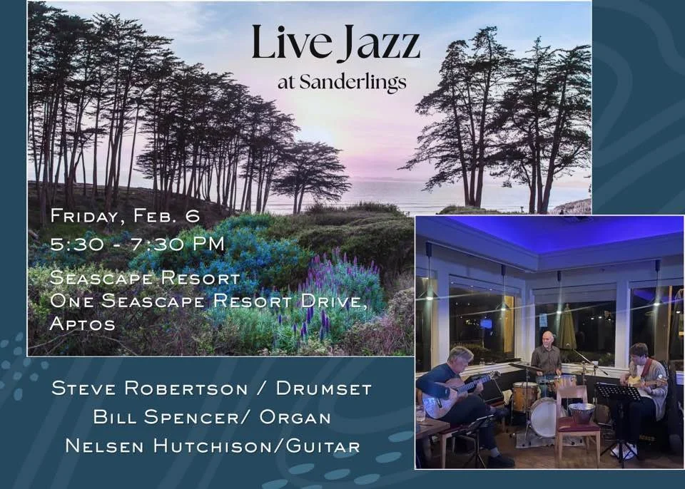 Sanderlings at Seascape Resort