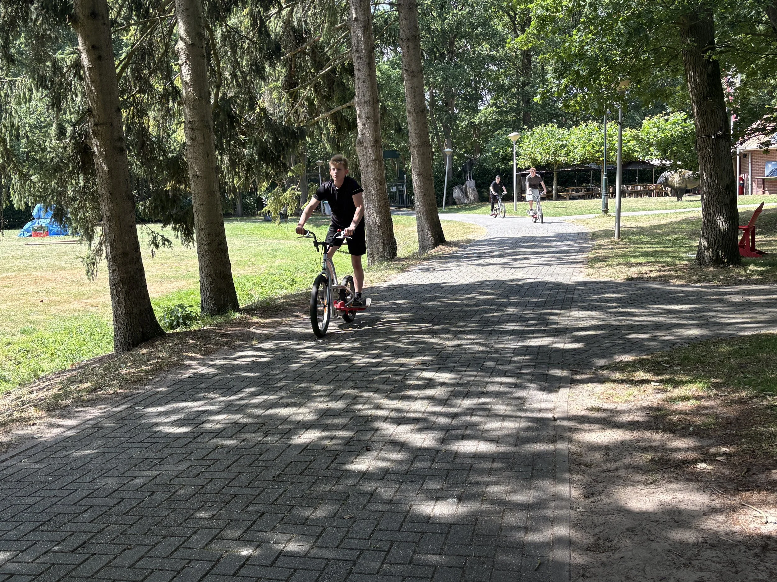 IMG_0131.jpeg