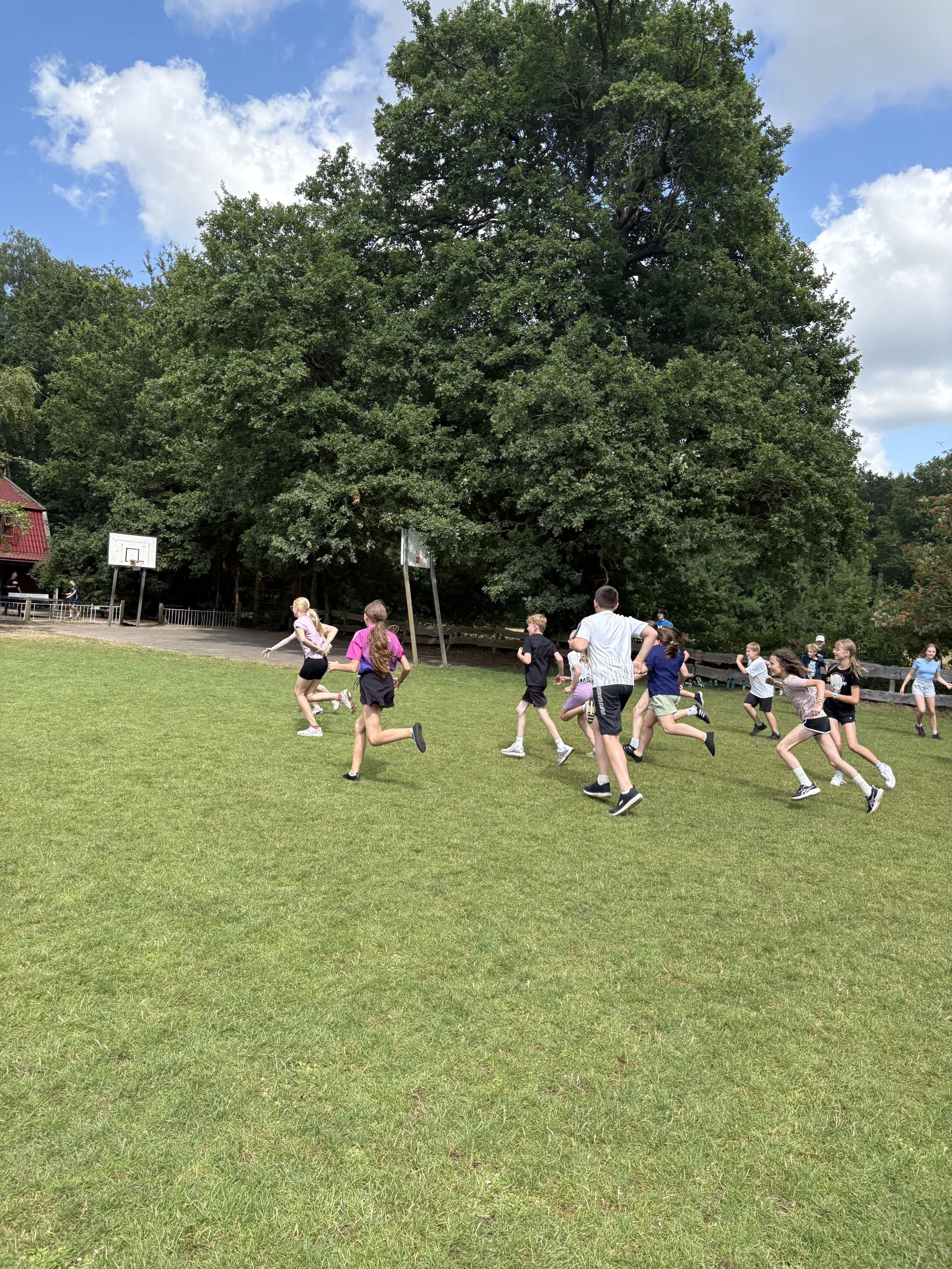 IMG_2403.jpeg