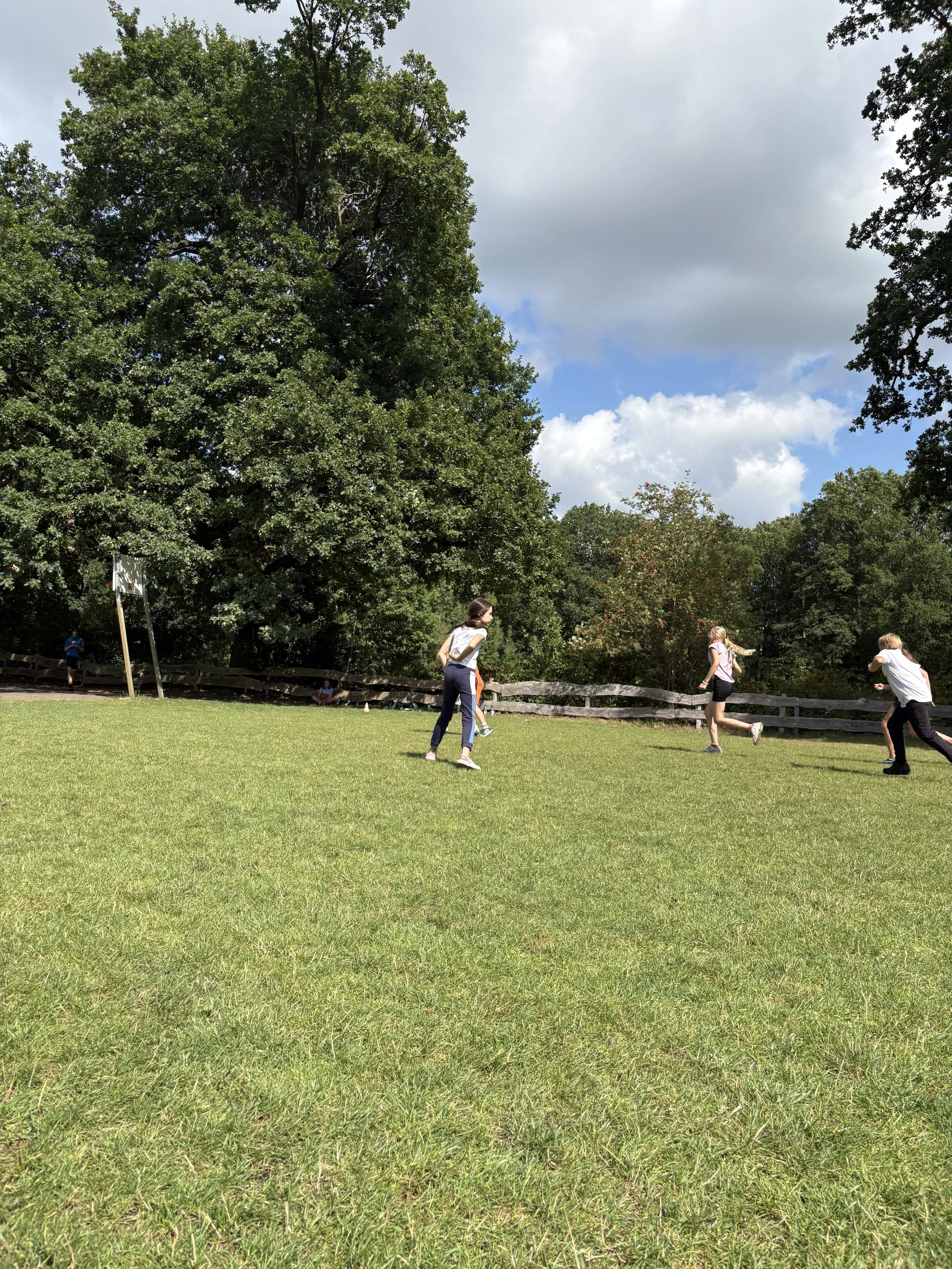 IMG_2418.jpeg