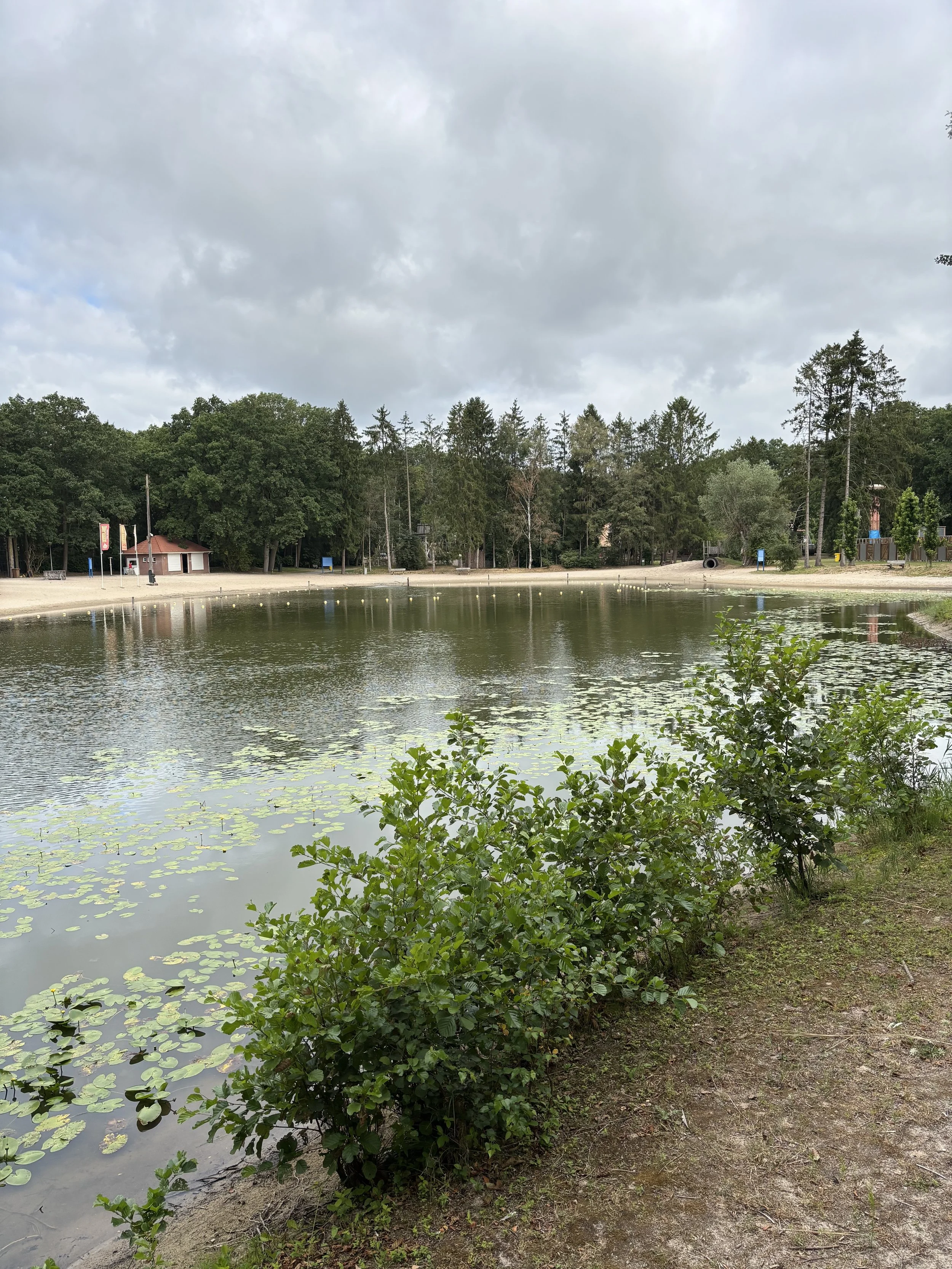 IMG_0087.jpeg