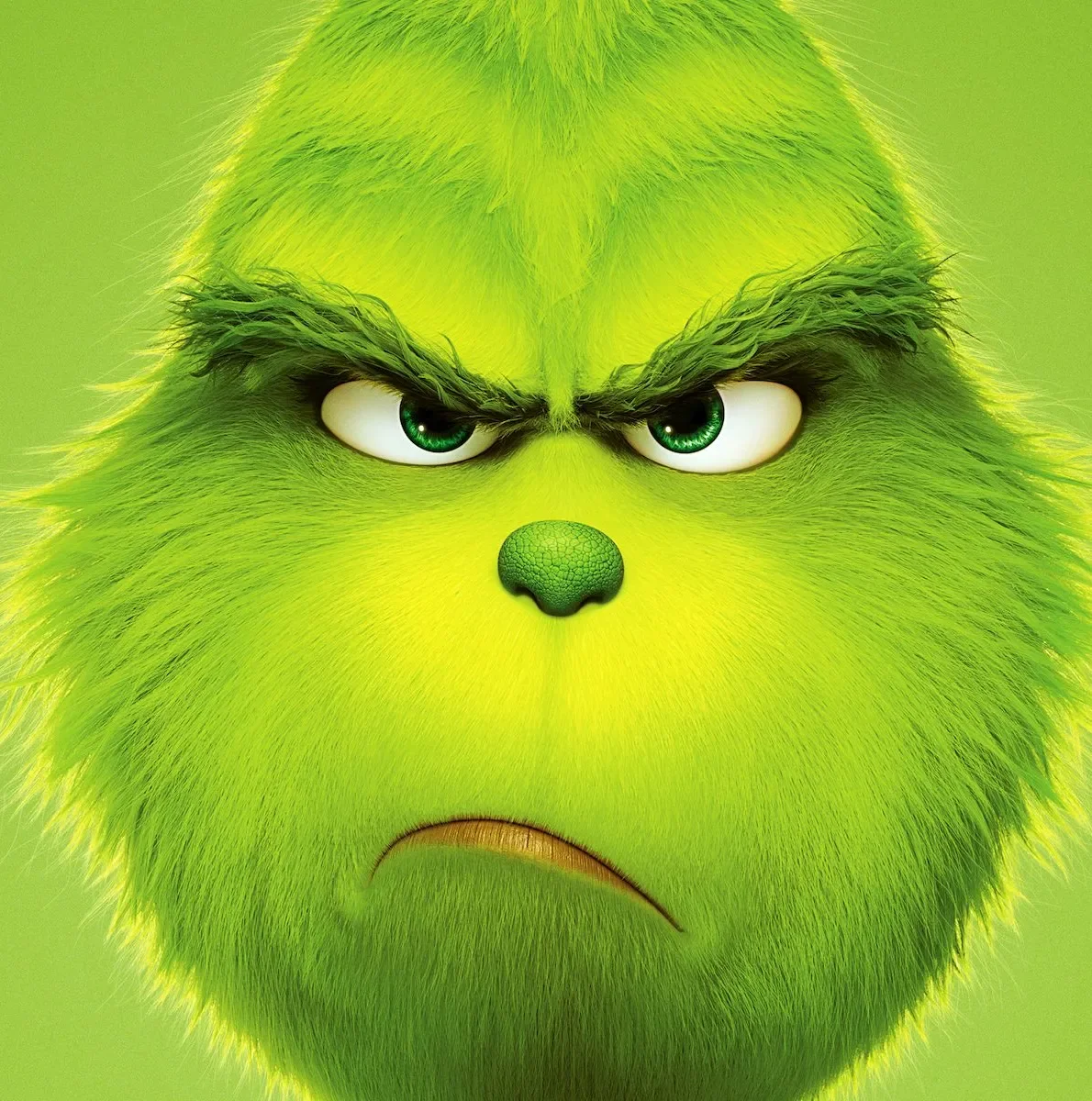 A green animated creature with a furry face, angry eyes, a green nose, and a frown.