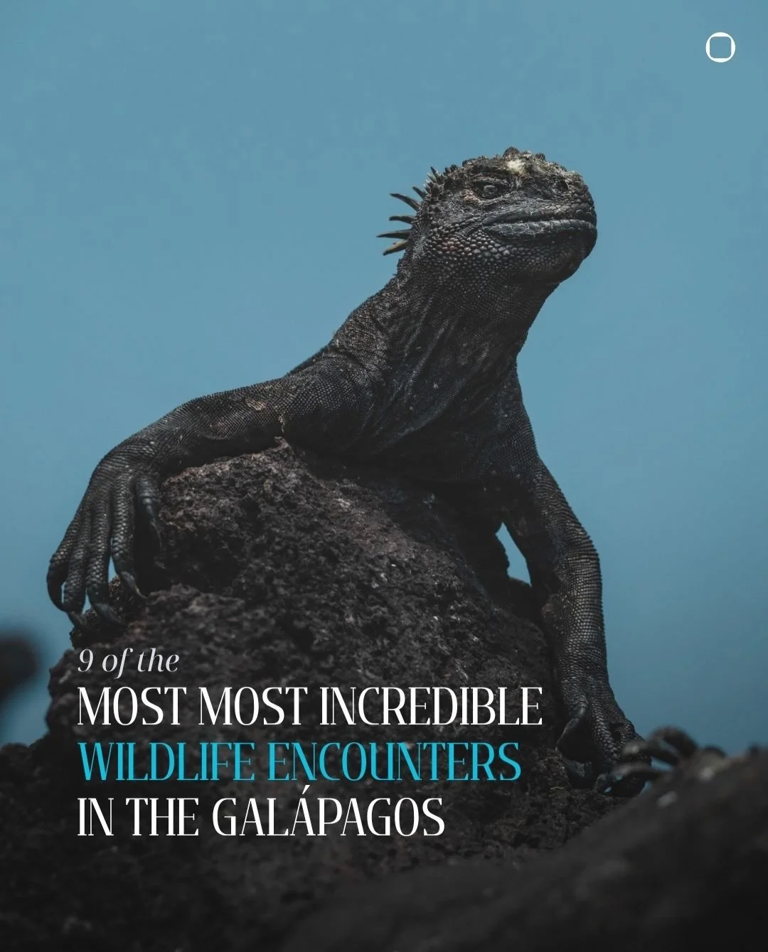 There&lsquo;s nowhere else on earth like the Gal&aacute;pagos. Six hundred miles into the Pacific, the islands&rsquo; animals evolved with no natural fear of humans, which means wildlife here doesn&lsquo;t flee. It carries on, inches away, as if you 