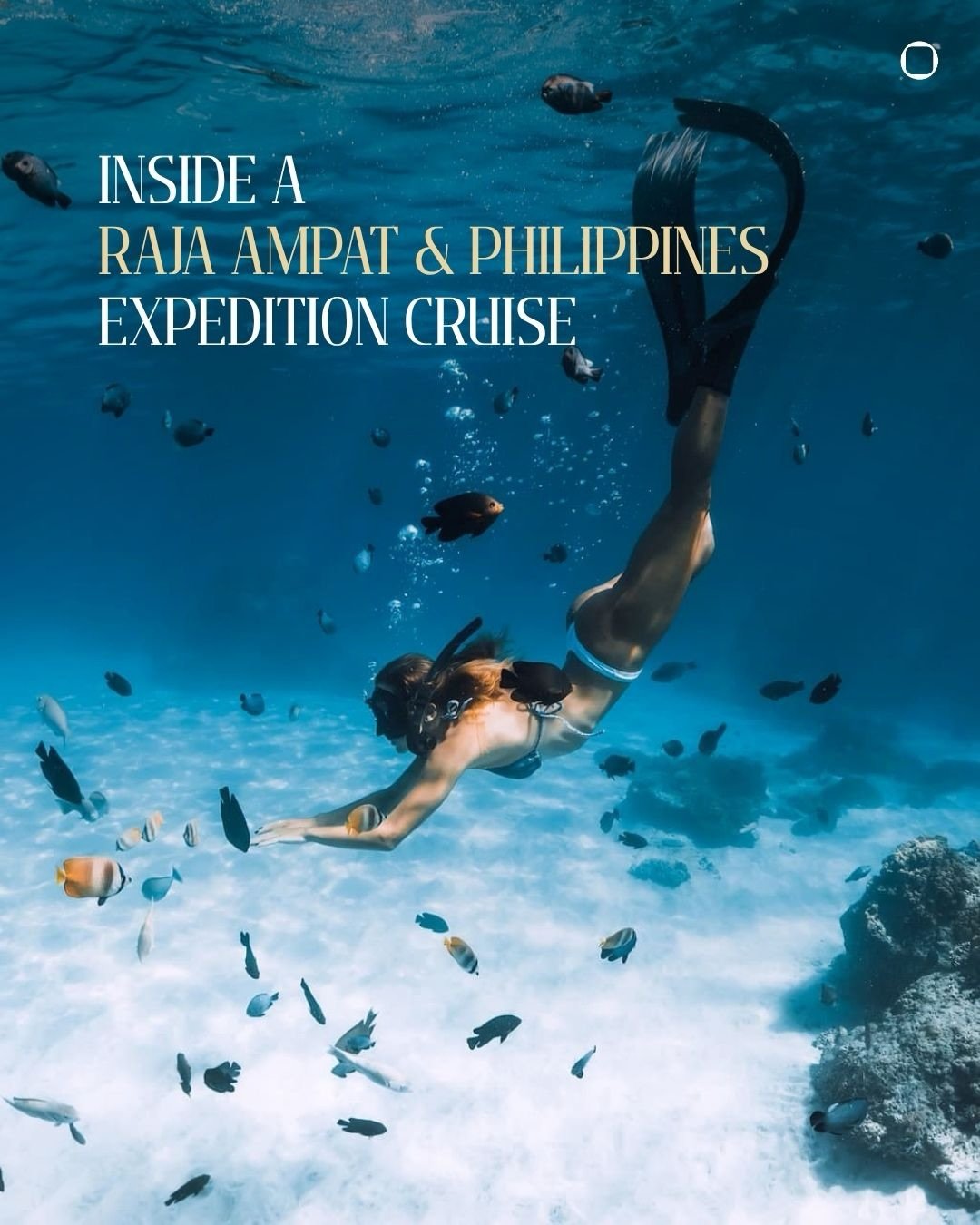 Some journeys you plan around a place. This one is planned around the single most biodiverse patch of ocean on earth. Raja Ampat, off the coast of West Papua, is home to more than 1,500 species of fish and three-quarters of the world&rsquo;s known co