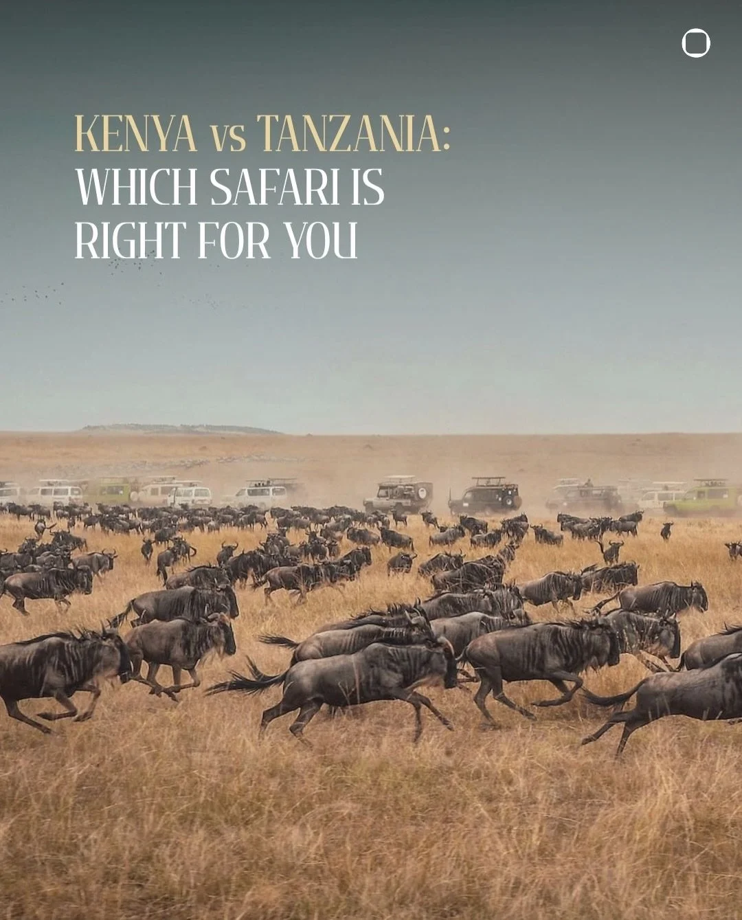 It&rsquo;s the great safari dilemma: Kenya or Tanzania? The honest answer is that you can&lsquo;t lose. The two countries share a single ecosystem, and the Great Migration spends its year moving between the Serengeti and the Masai Mara, ignoring the 