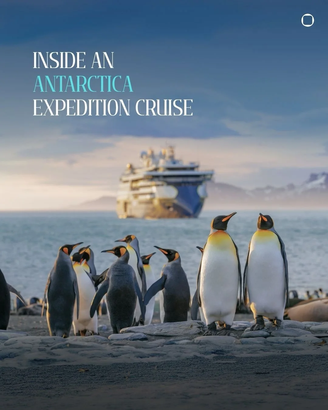 Antarctica is the last land on Earth without cities, roads, or human presence. Beyond the gaze lies only eternal ice, raw wilderness, and a profound silence found nowhere else on earth. To merely arrive at this southern frontier is a triumph in itsel