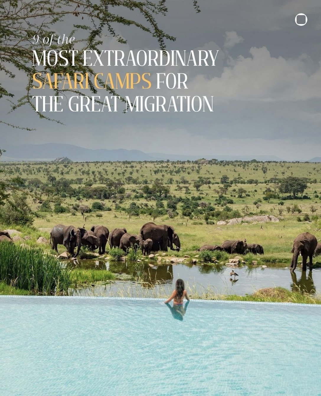 The Great Migration is an eternal, untamed rhythm between the Serengeti and the Masai Mara. Every year, over a million wildebeest and zebra traverse the plains guided by the rains, with predators following closely behind. It remains the most spectacu