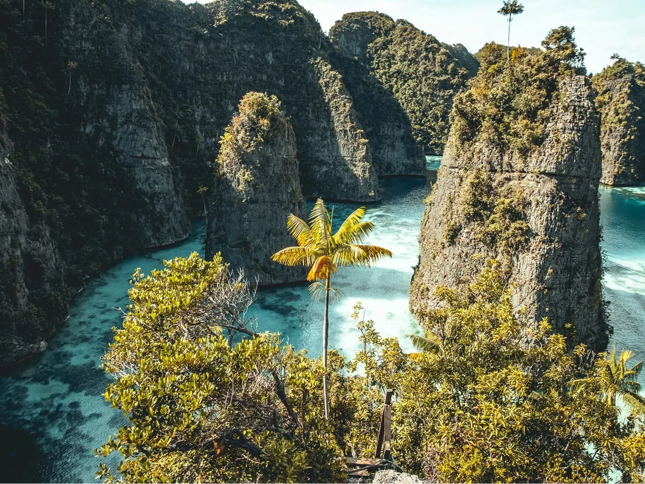 guest-feedback-remote-islands-destinations.jpg