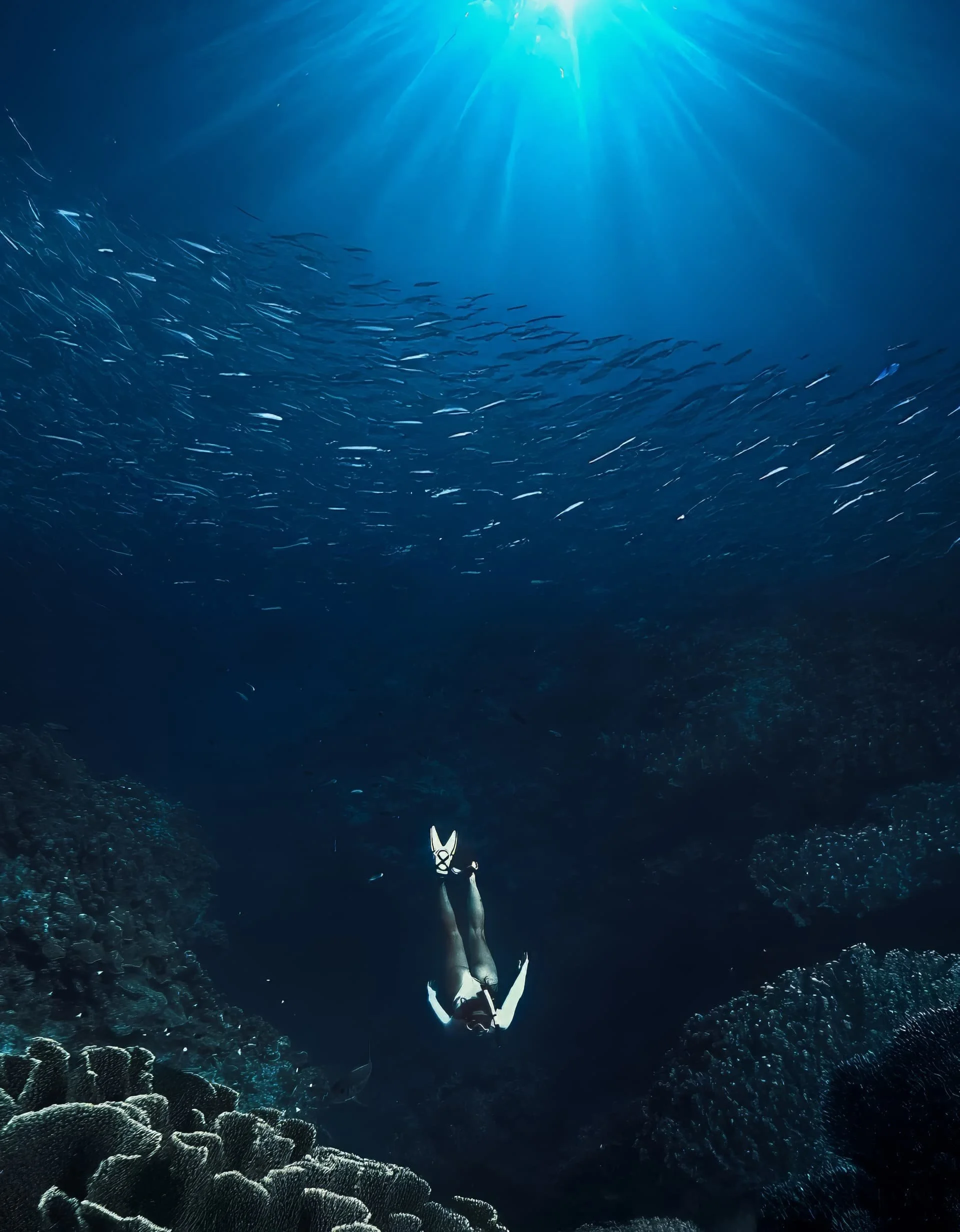 SnorkelingDiving_3.jpg