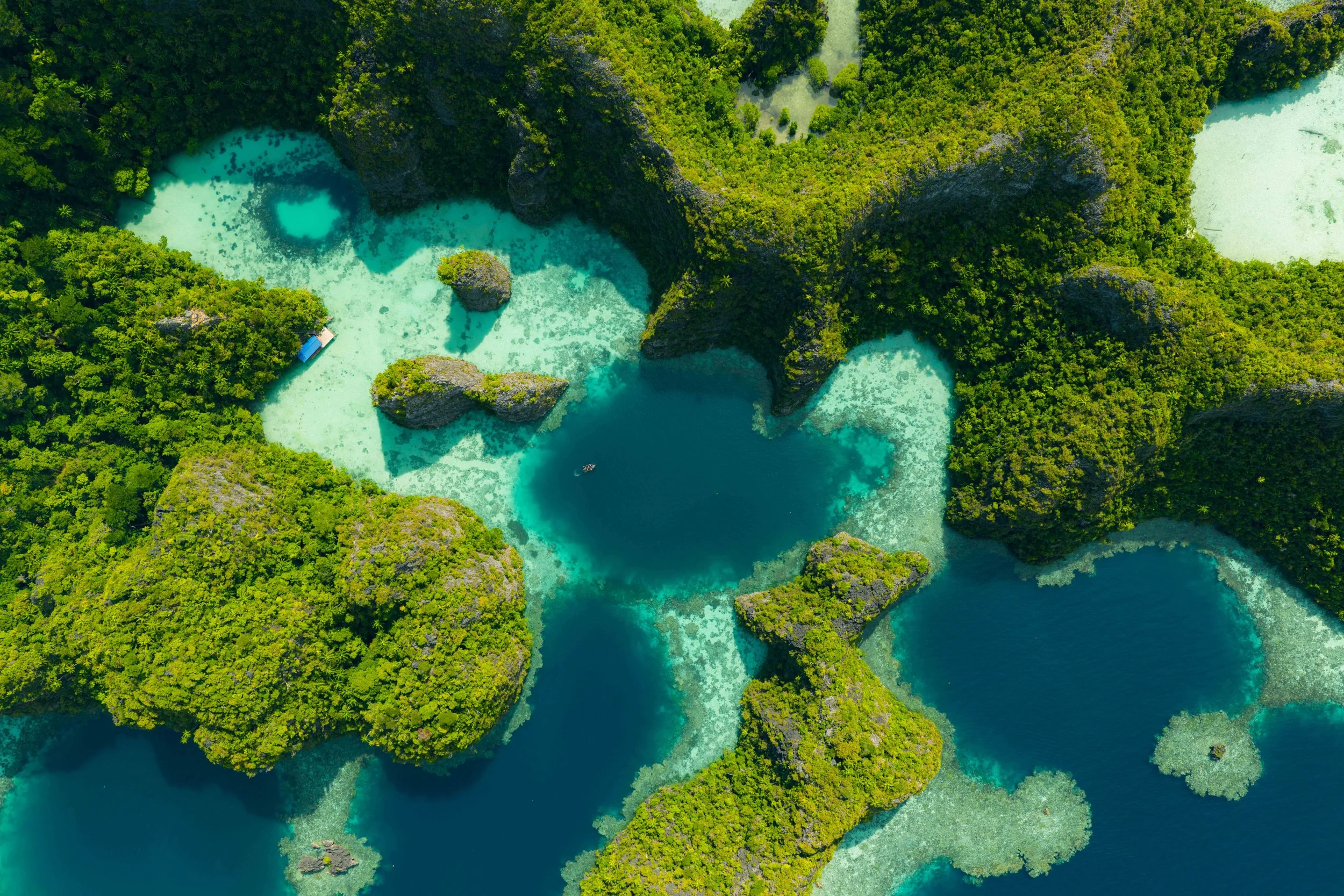 M0926_SHMinerva_270426_BalbulolLagoon_RajaAmpat_Indonesia_DJI_20250107140350_0052_D1.jpg