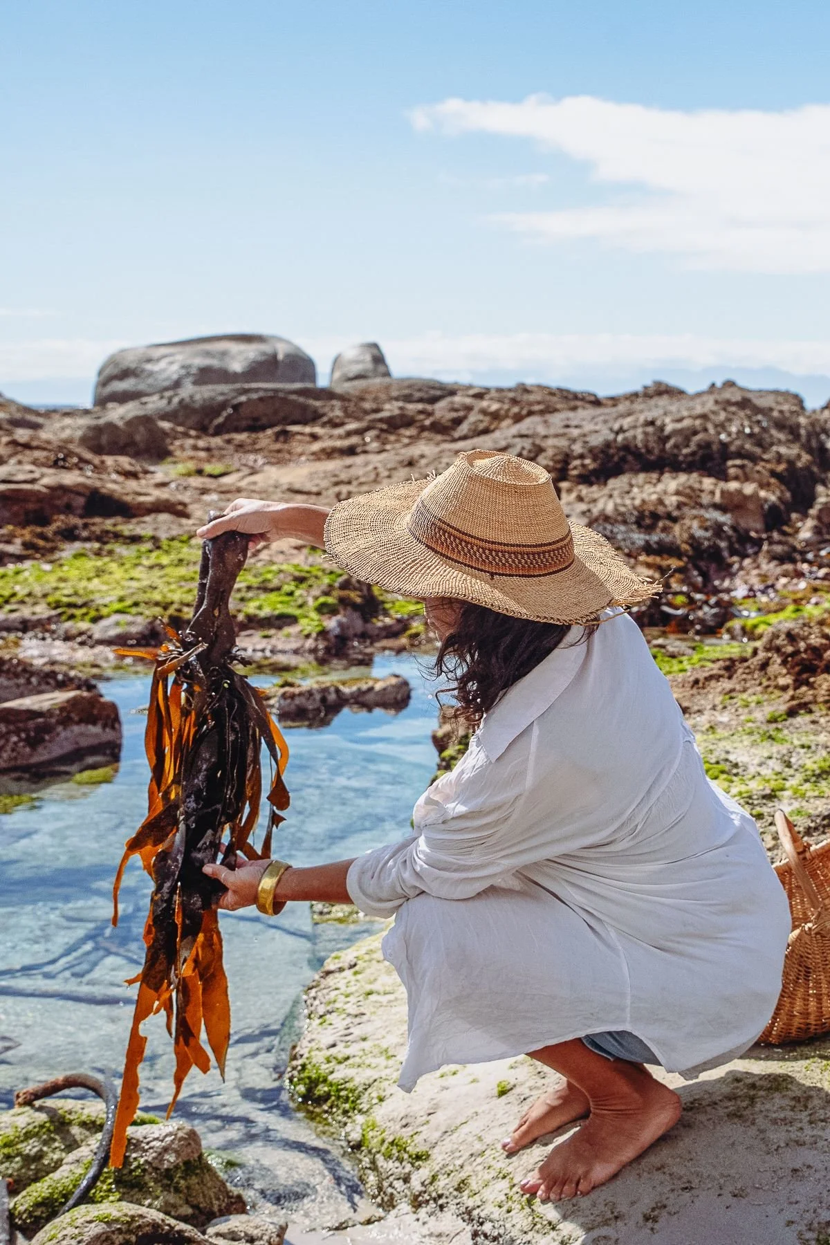 Veld &amp; Sea Coastal Foraging Course