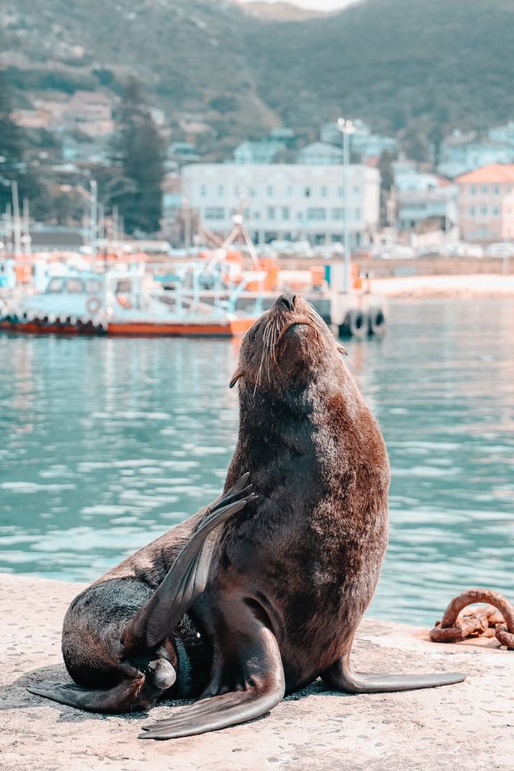 Kalk Bay 