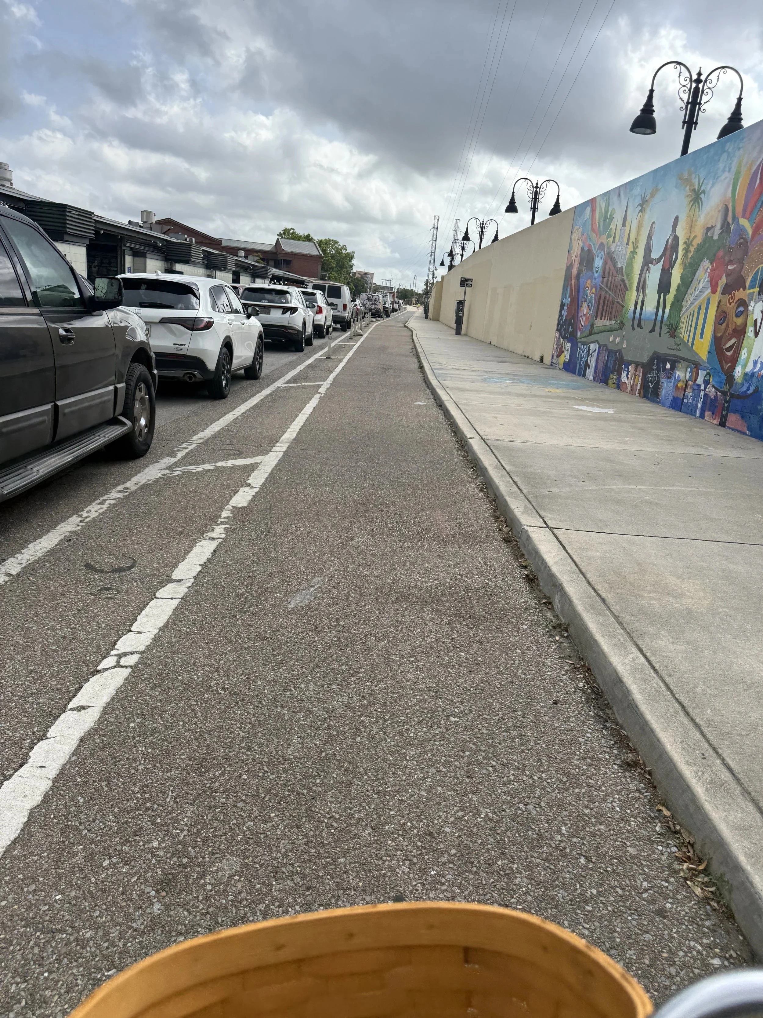 Separated Bike Lane New Orleans