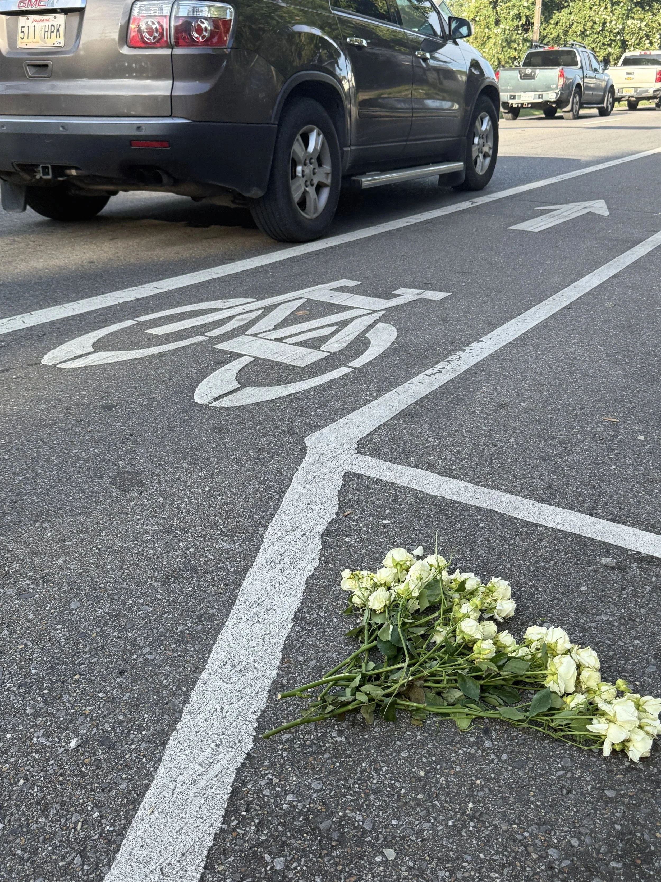 Report Traffic Violence Against Bicyclists in New Orleans