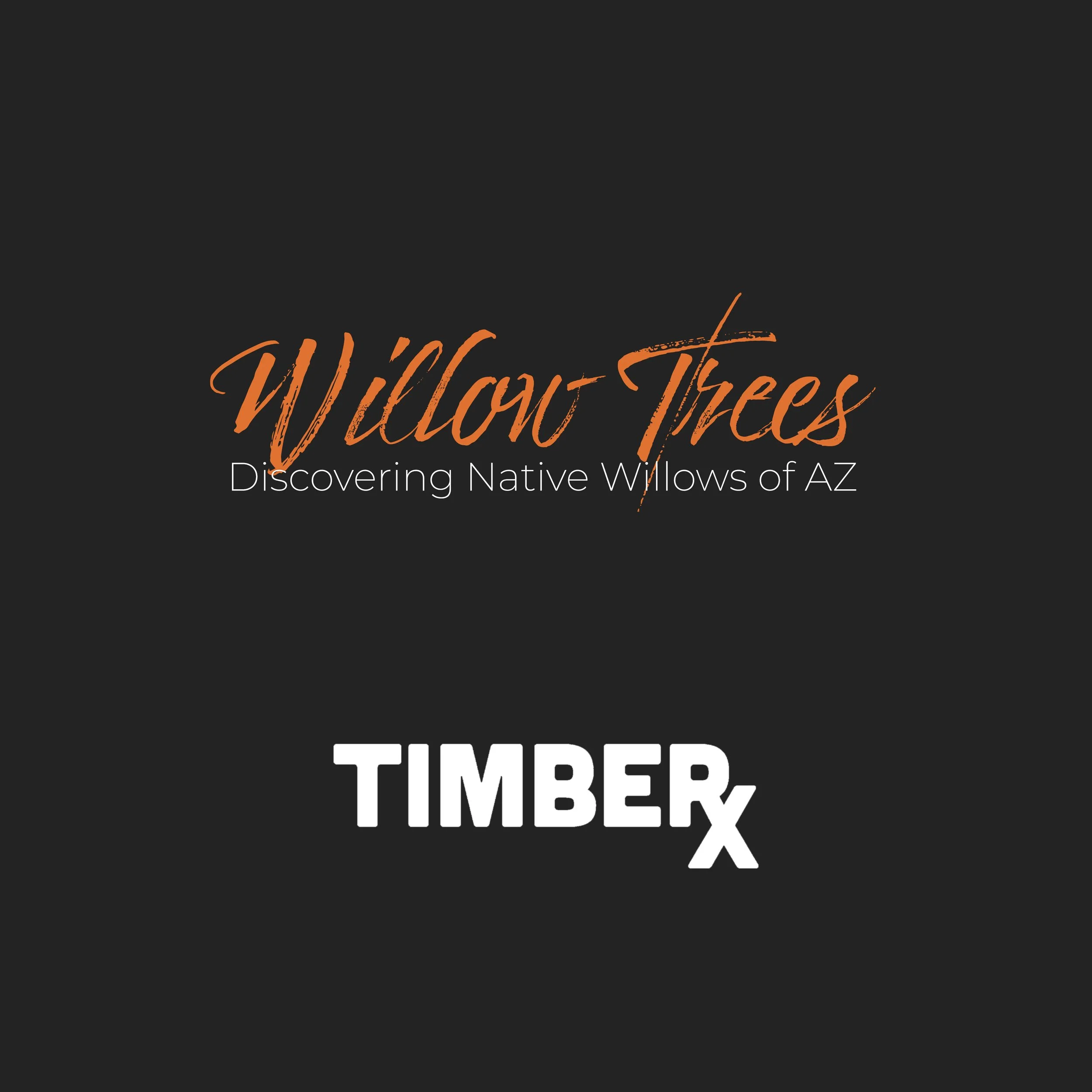 Discovering Native Willow Trees: A Riparian Staple