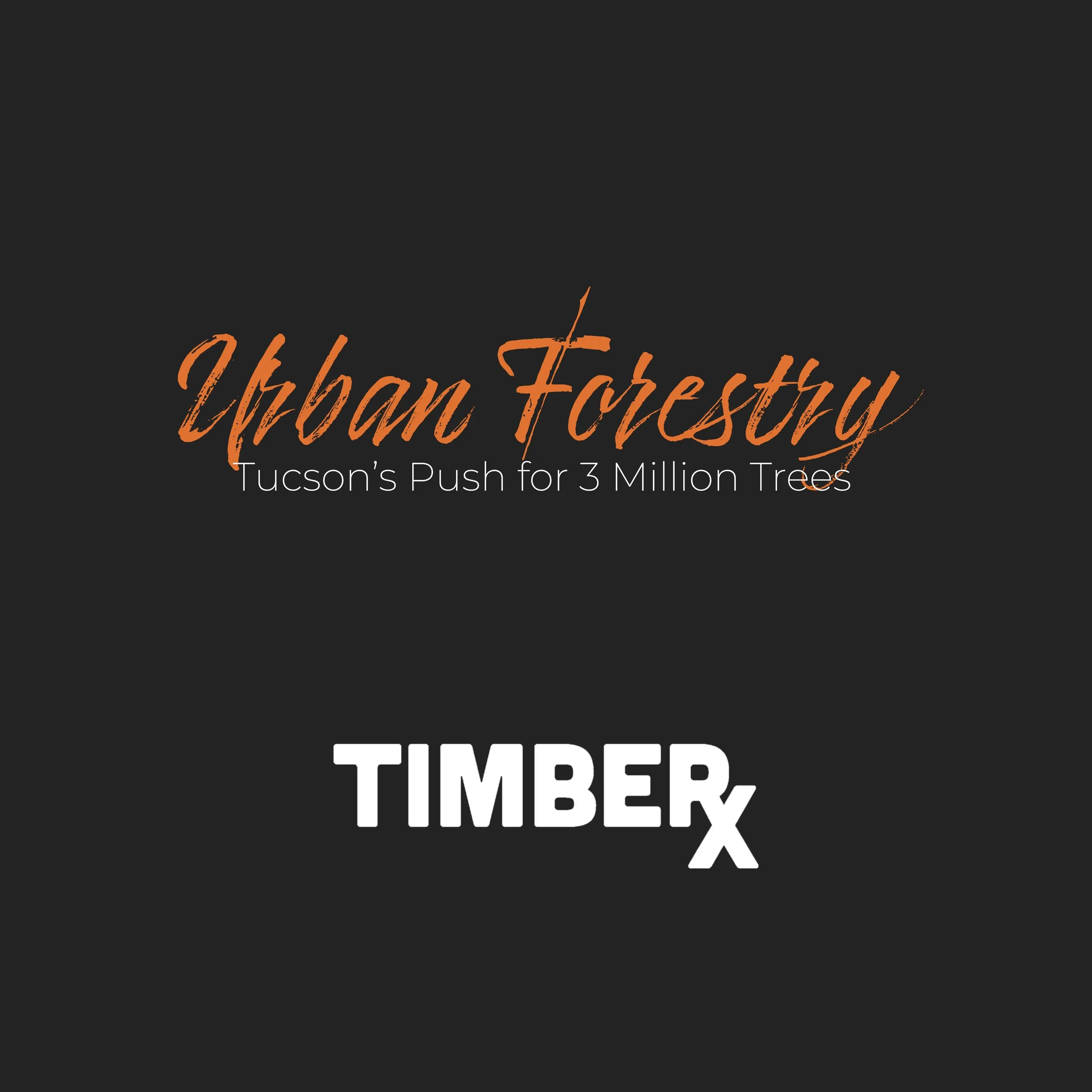 Tucson’s Million Trees Initiative: What It Actually Means for Your Yard