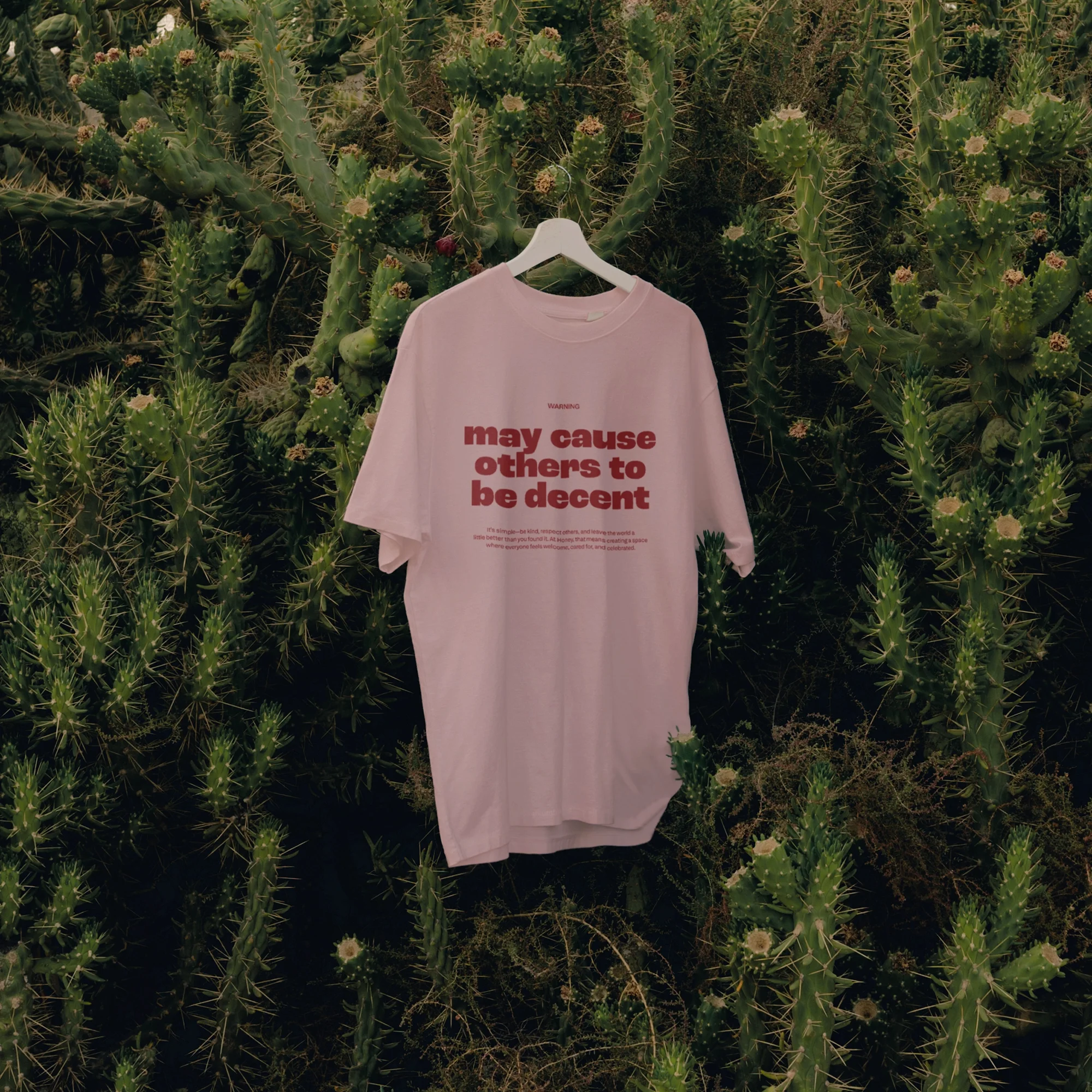 Pink Honey t-shirt printed with the slogan 'may cause others to be decent,' hanging on a cactus wall.