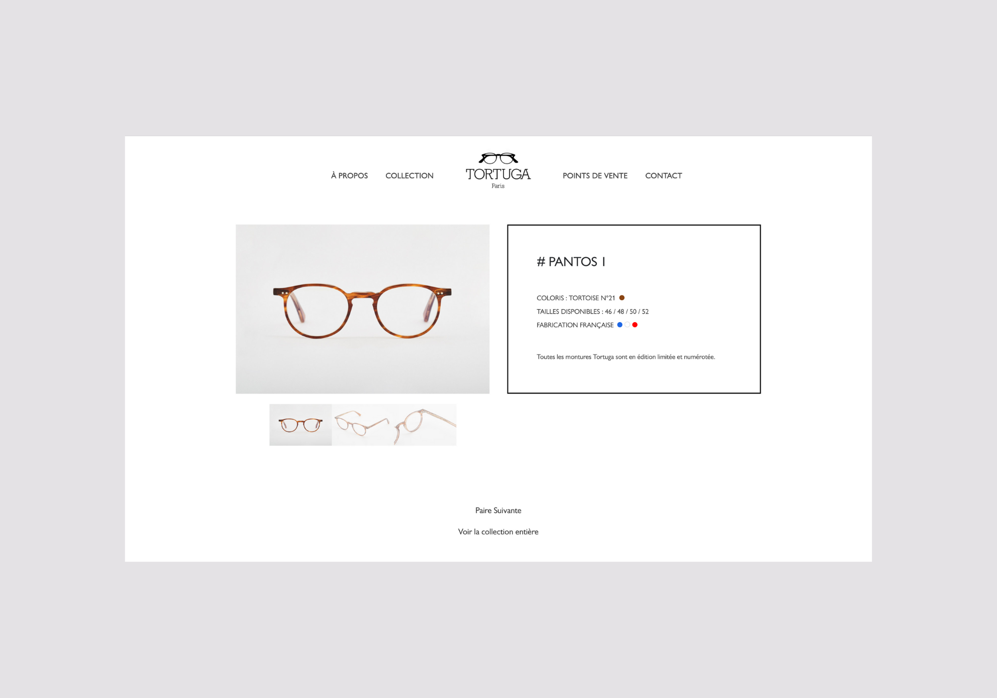 Squarespace web design project - Tortuga Glasses - Barbara Gian