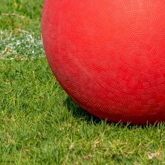 Who's ready?
Next Kickball is Thursday, Sept 4th at 6:15PM Comstock. 

Look for the short shorts!