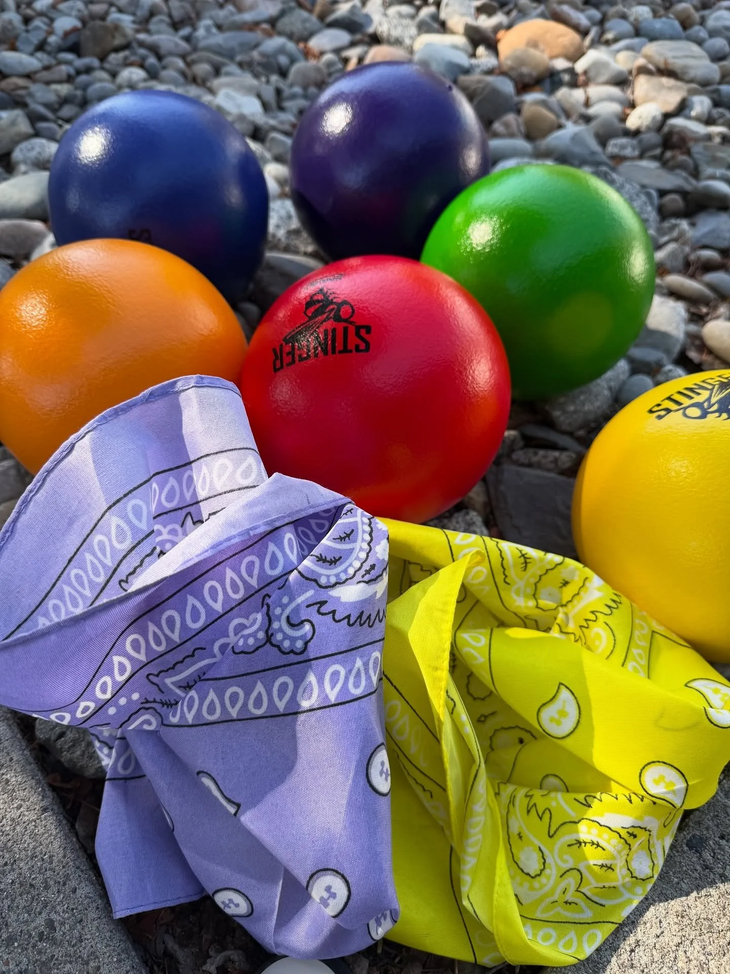 Who&rsquo;s ready for dodgeball??? Also the start of the Queer Color Clash! 
6:30pm West Central Community Center

Who&rsquo;s coming? 

#teamsol #teamlavender