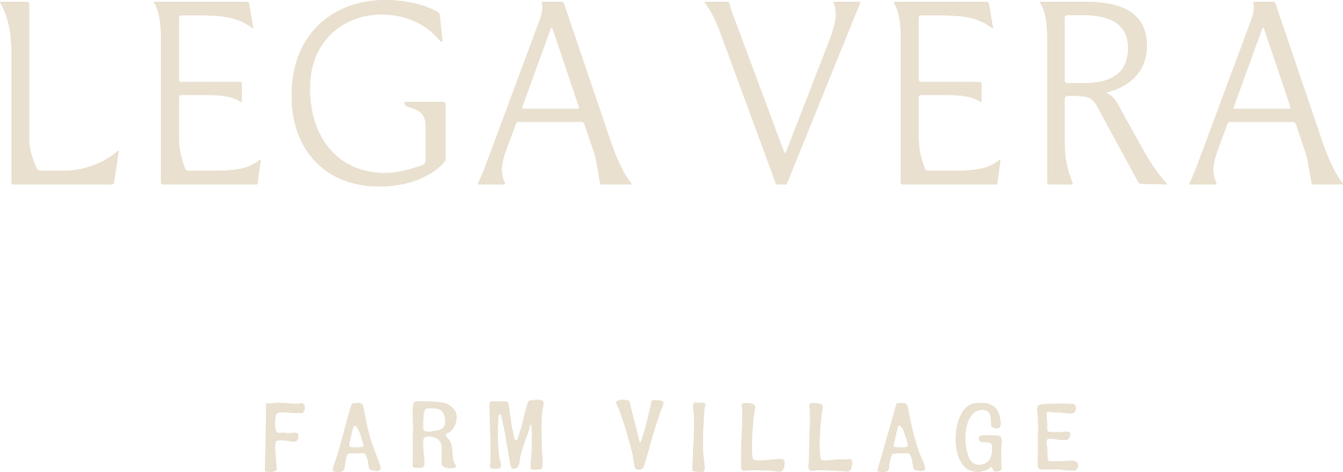 Lega Vera Regenerative Farm Village | Chepo, Panama