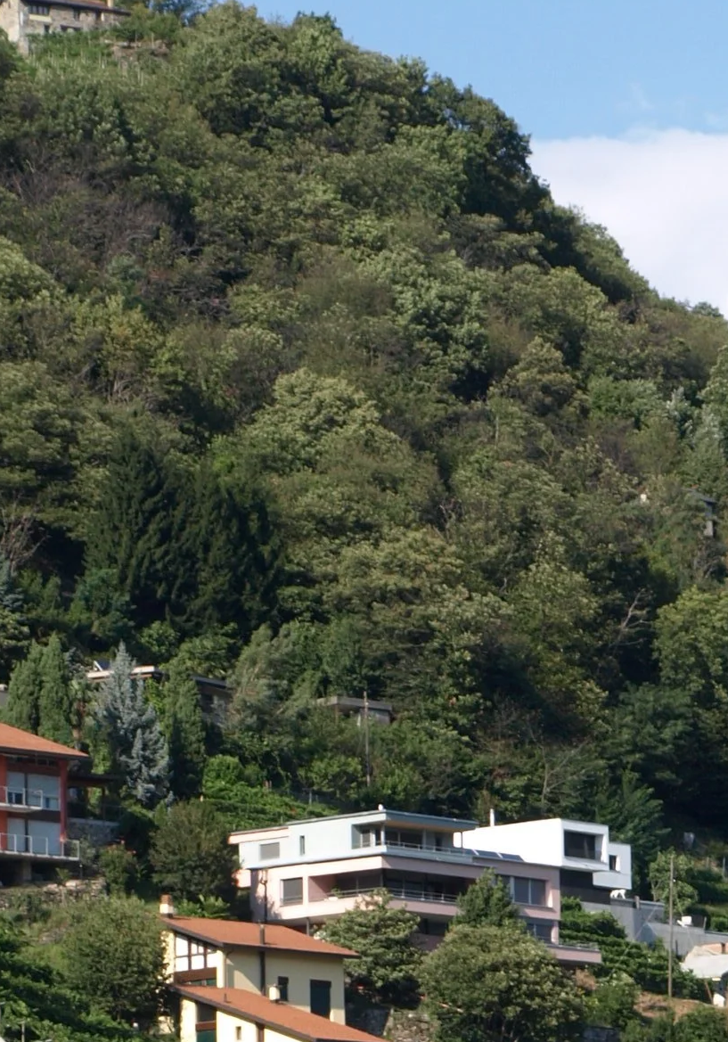 P8306234.png