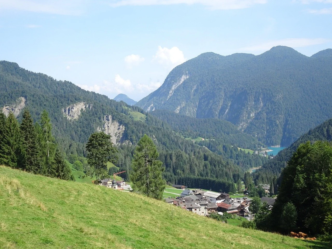 sauris-3651728_1280.jpg